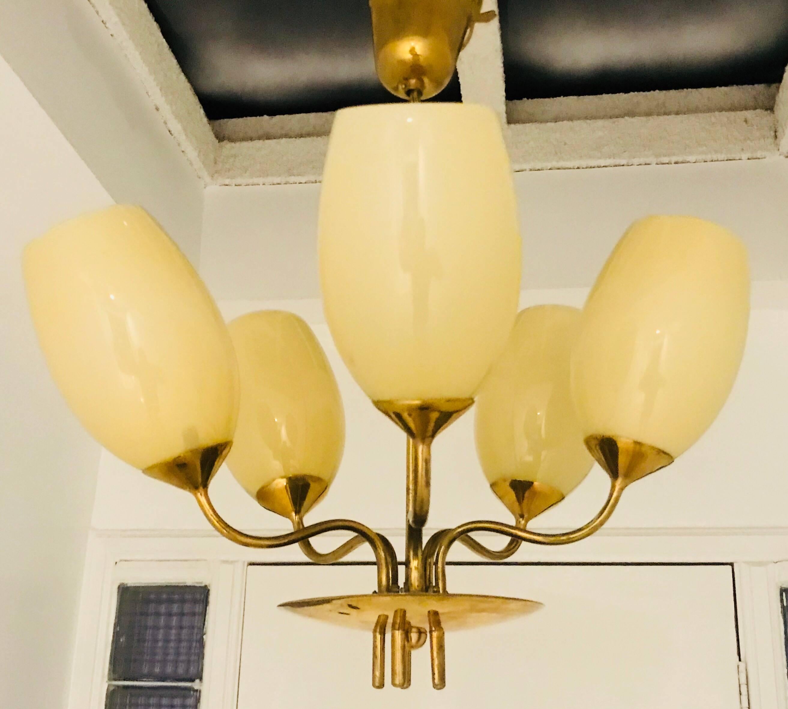 An original 1950s pendant chandelier composed of five custard glass shades and a golden brass fixture designed by the famed Finnish designer, Paavo Tynell. Newly rewired.