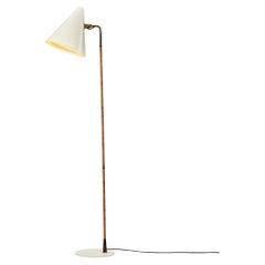 Floor Lamps