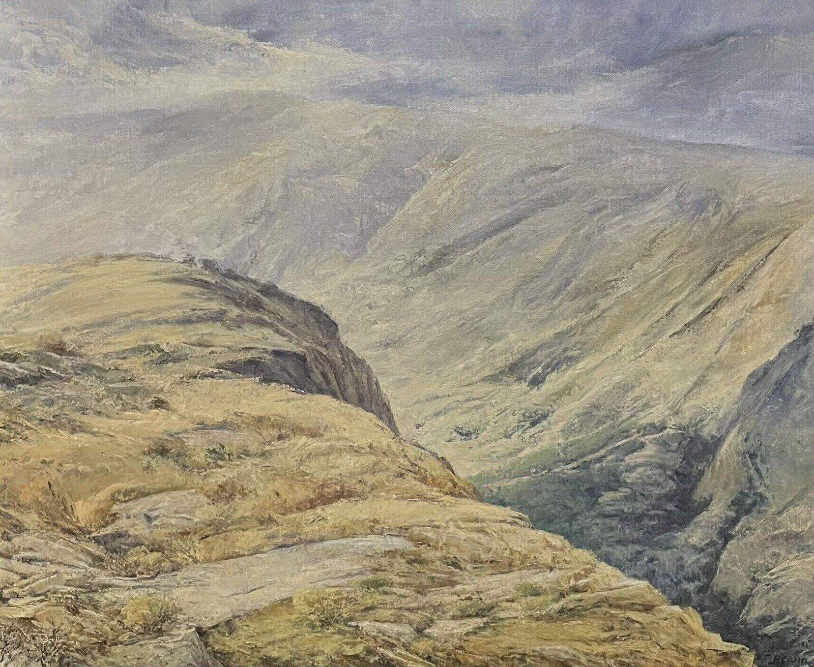 Pablo Cano Landscape Painting - Huge Spanish Landscape Oil Painting Mirador Sorrel Valley