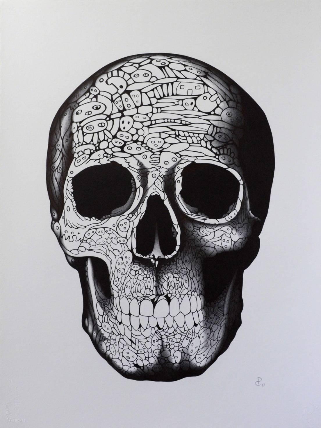 "Adam" - skull pen drawing  - Art by Pablo Caviedes