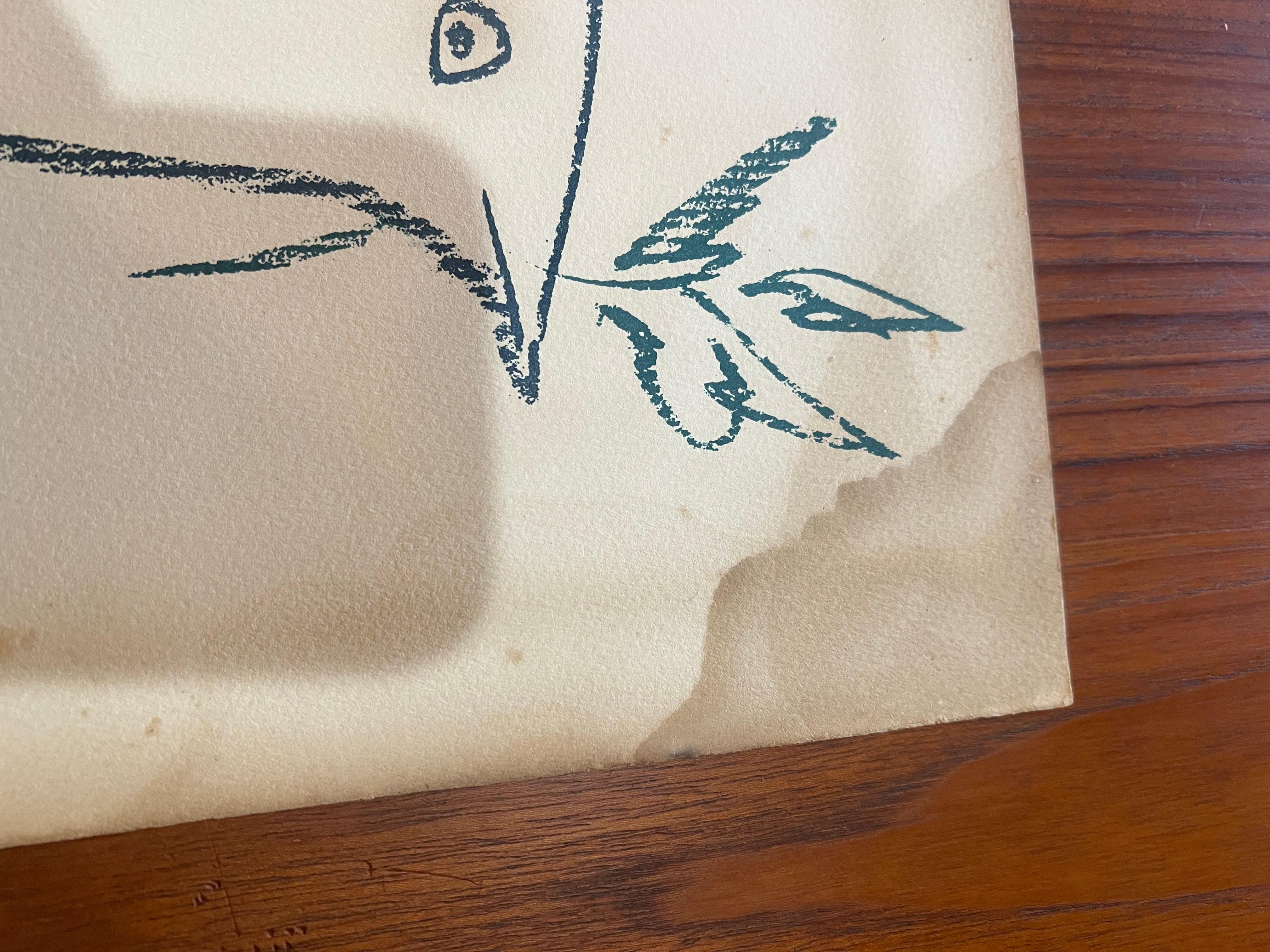 Schöne ungerahmte Original-Lithographie nach Pablo Picasso von Libermann Fine Art Productions circa 1960's, Taube des Friedens seine ungerahmt das Papier zeigt einige Verschleiß, und ein Wasserfleck auf der Oberseite kann es restauriert werden wir