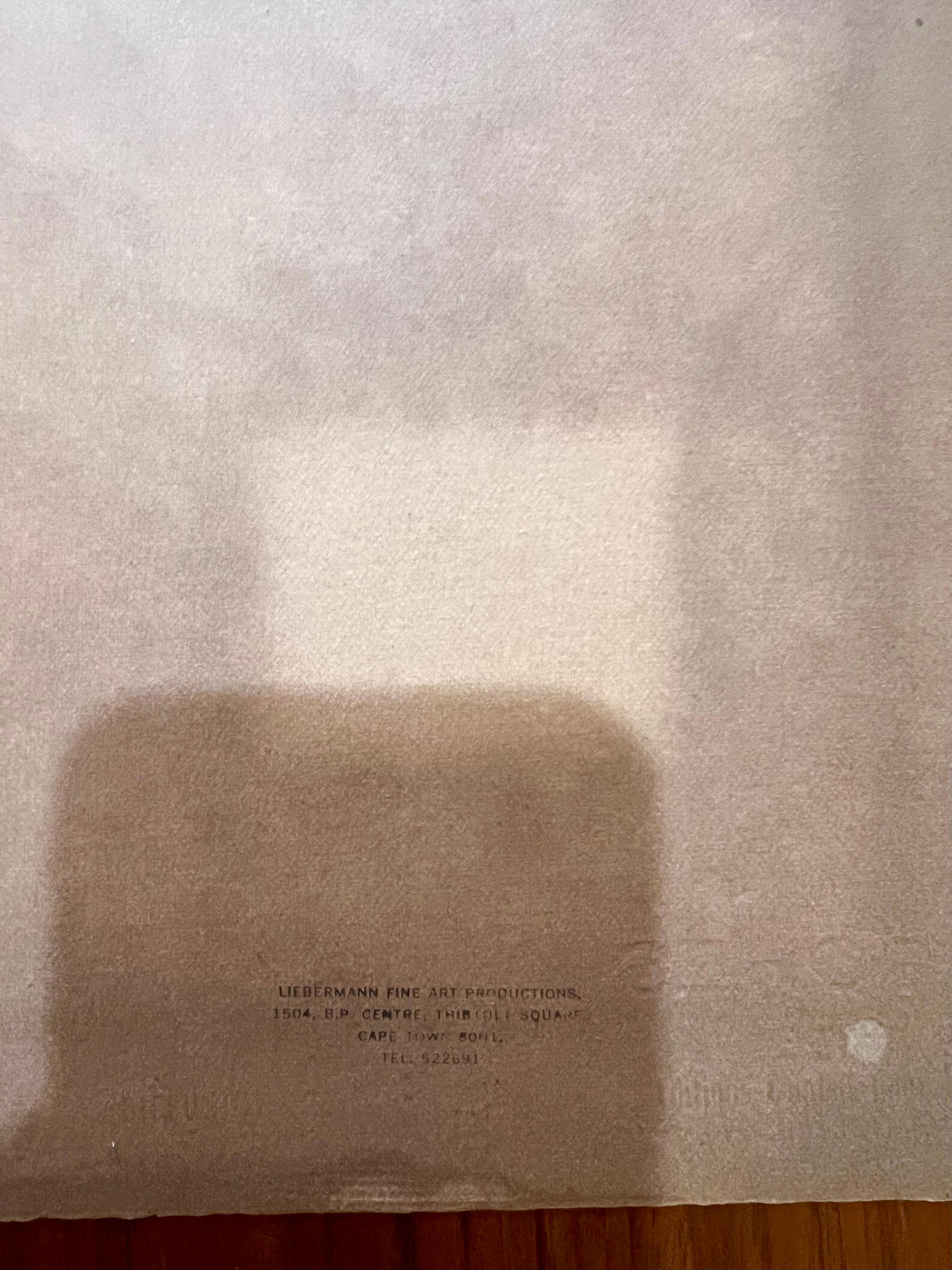Pablo Picasso Taube des Friedens Lithographie Offene Auflage  von Libermann Fine Art im Zustand „Relativ gut“ in San Diego, CA