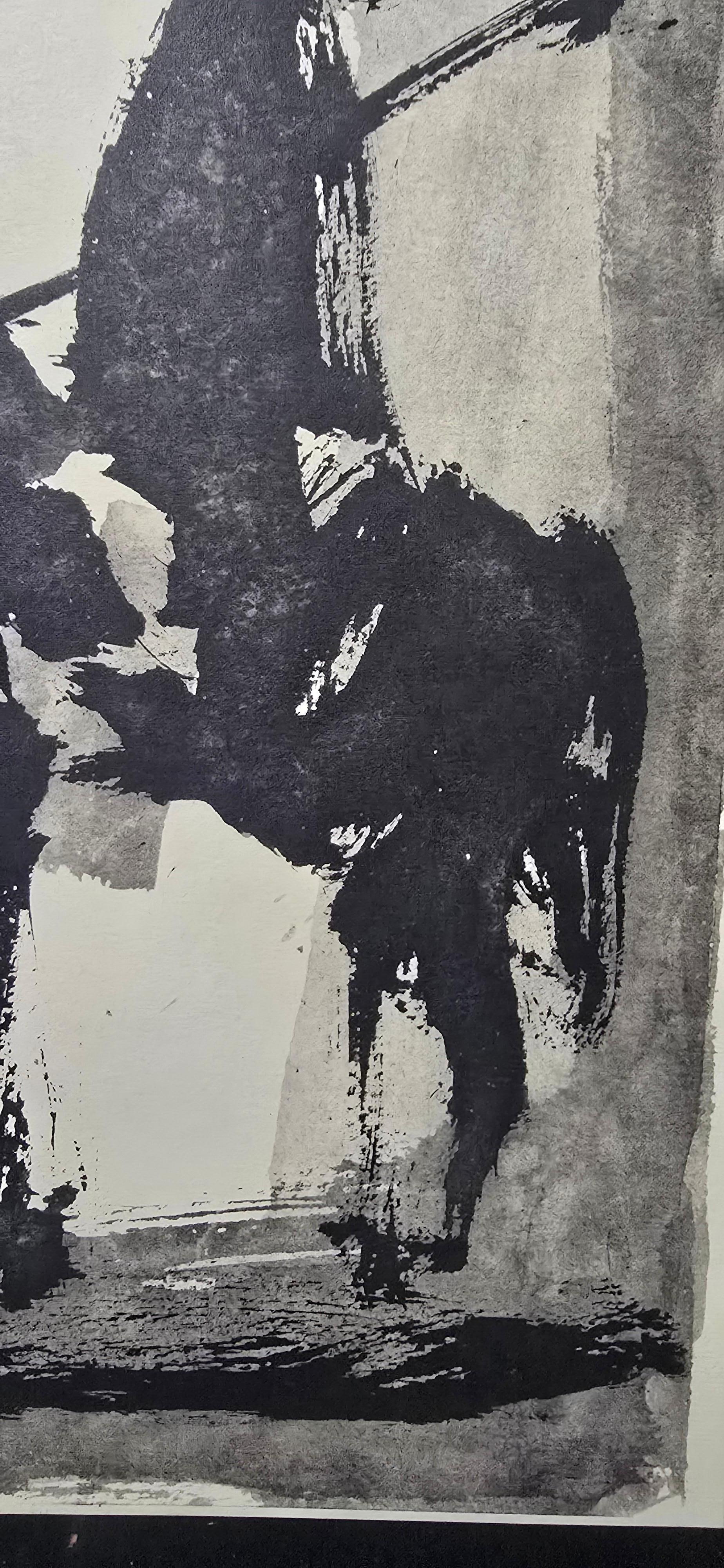 Picasso 
