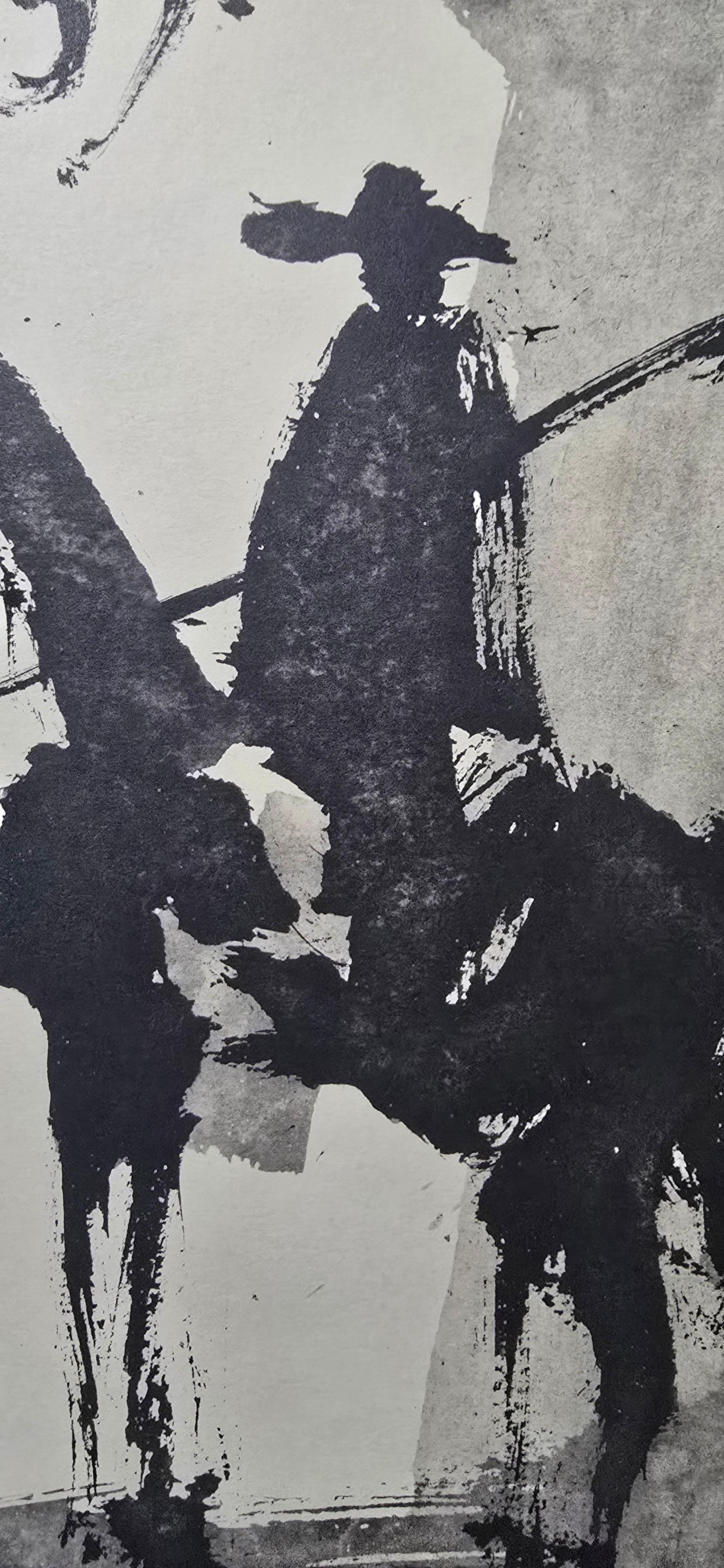 Picasso 