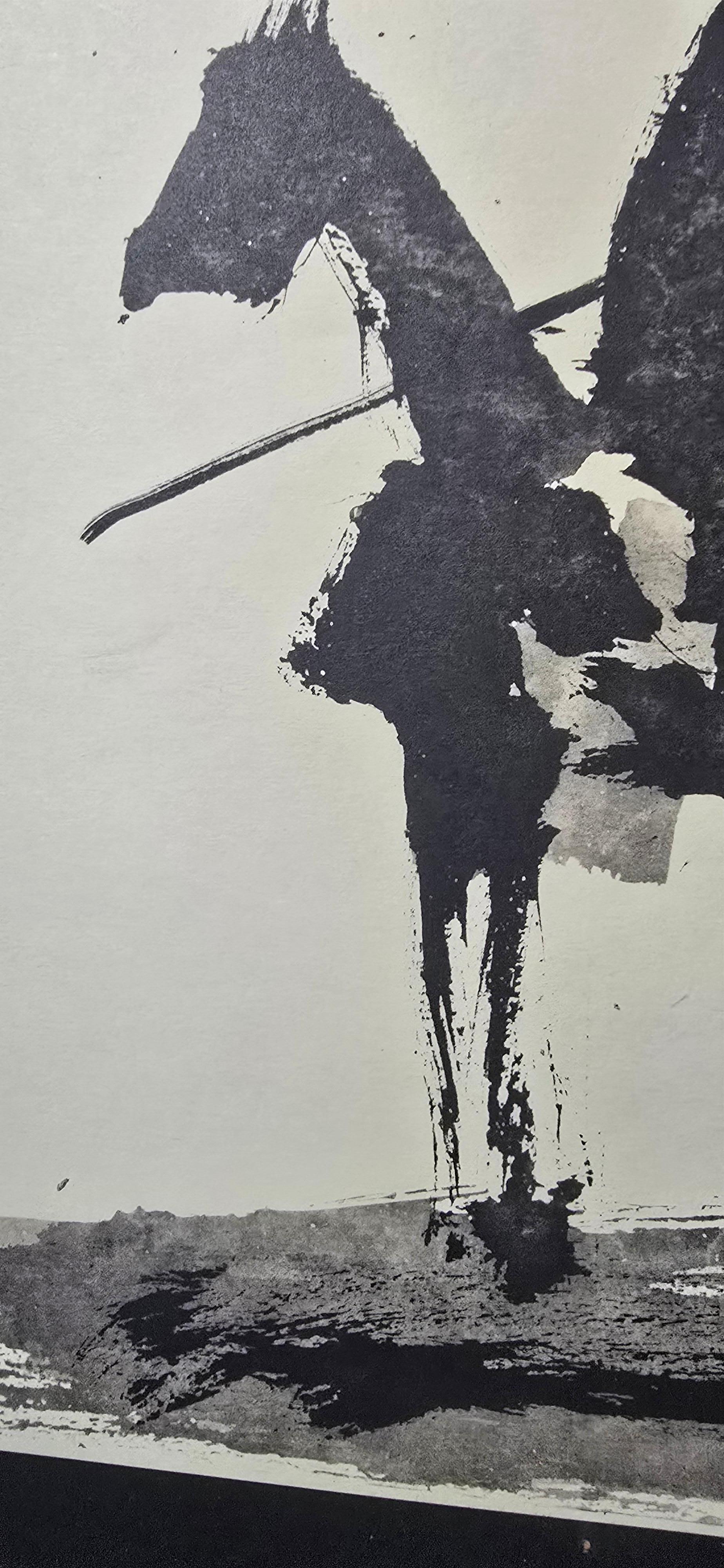 This captivating book, titled Toros y Toreros (Bulls and Bullfighters), features the iconic artwork of Pablo Picasso, paired with the insightful text of renowned Spanish bullfighter Luis Miguel Dominguín. The cover showcases Picasso’s signature
