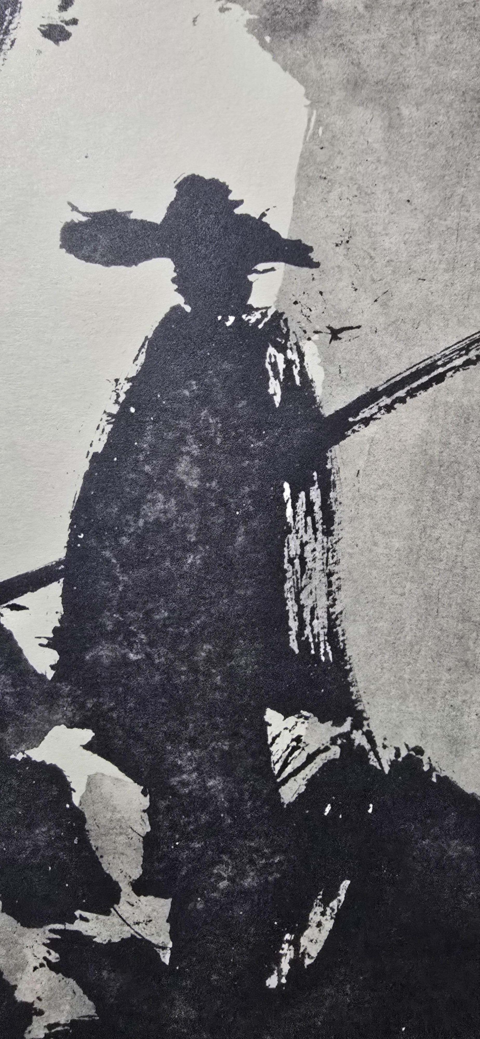 Picasso 