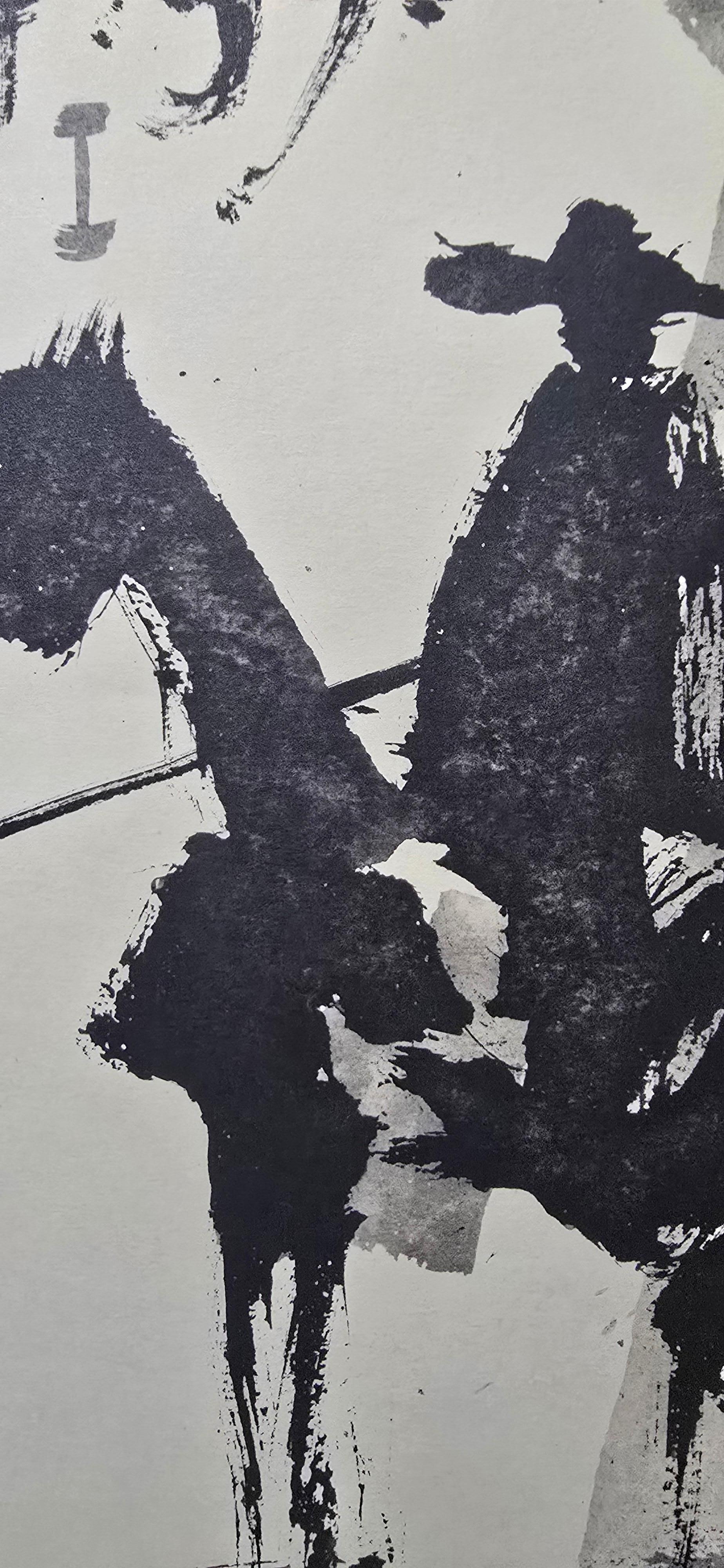 Picasso 