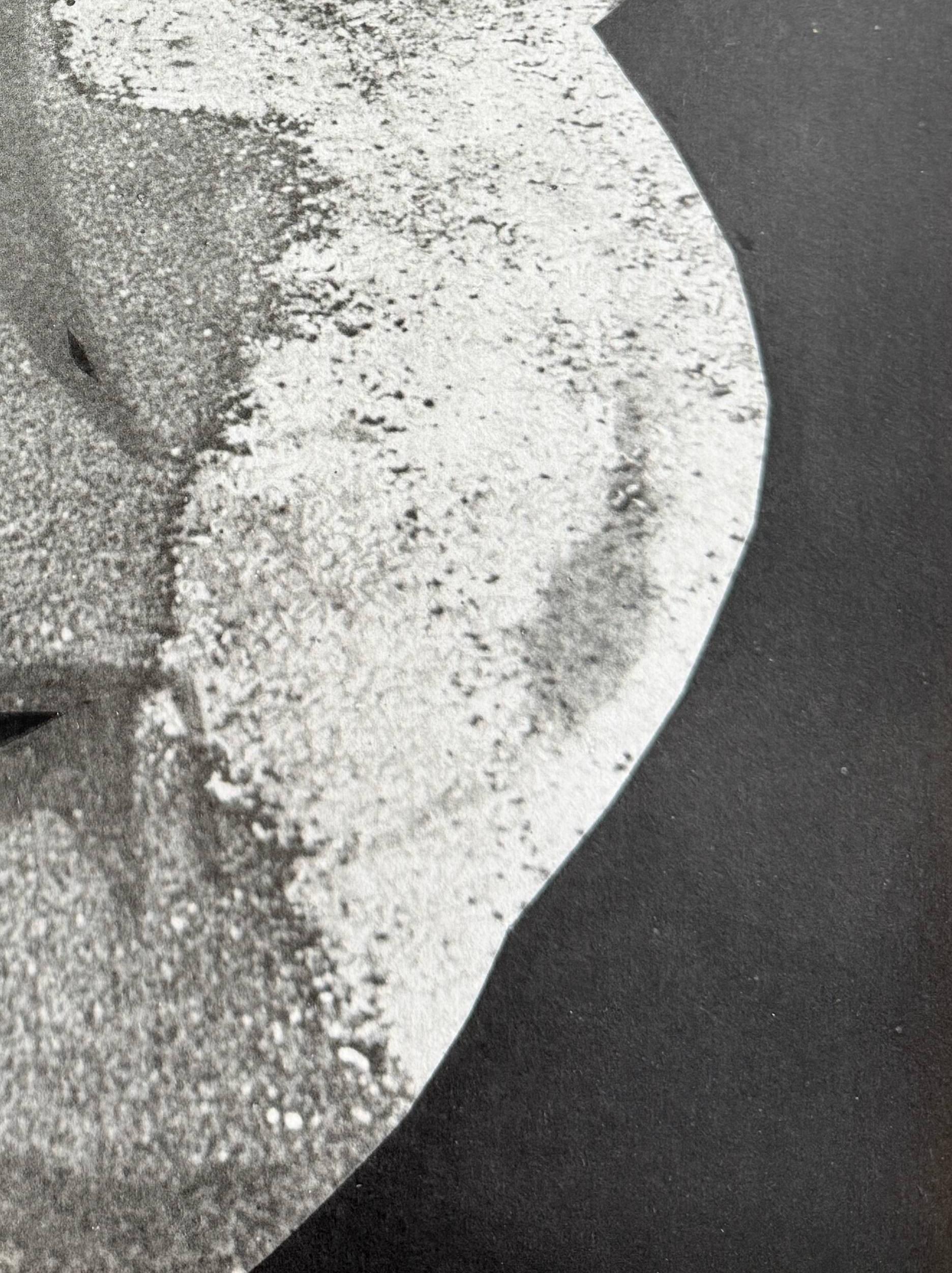 Bohu - Gris Print par Pablo Picasso