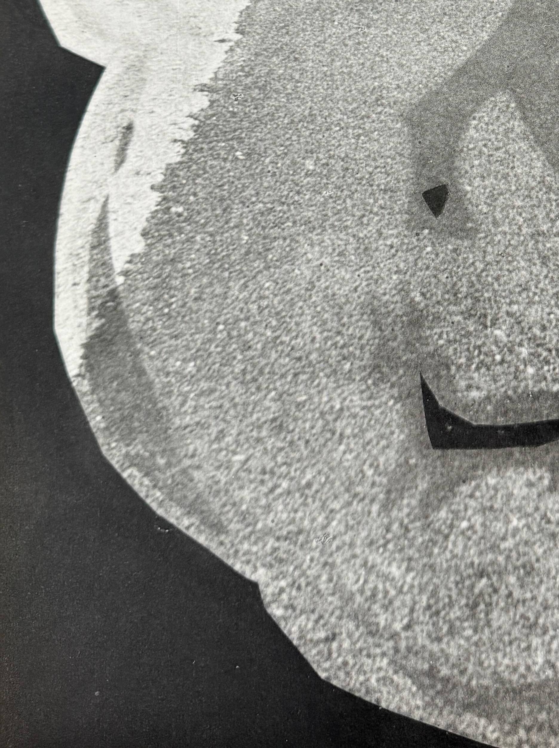 Pablo Picasso (1881-1973) - Bohu

Phototype et pochoir de 1962.

Tiré à 1 000 exemplaires, cet exemplaire porte le numéro 334, comme l'indique le colophon.

Dimensions de la feuille : 40 x 30 cm

Dimensions dans le cadre : 53,2 x 43,2 cm

Éditeur :