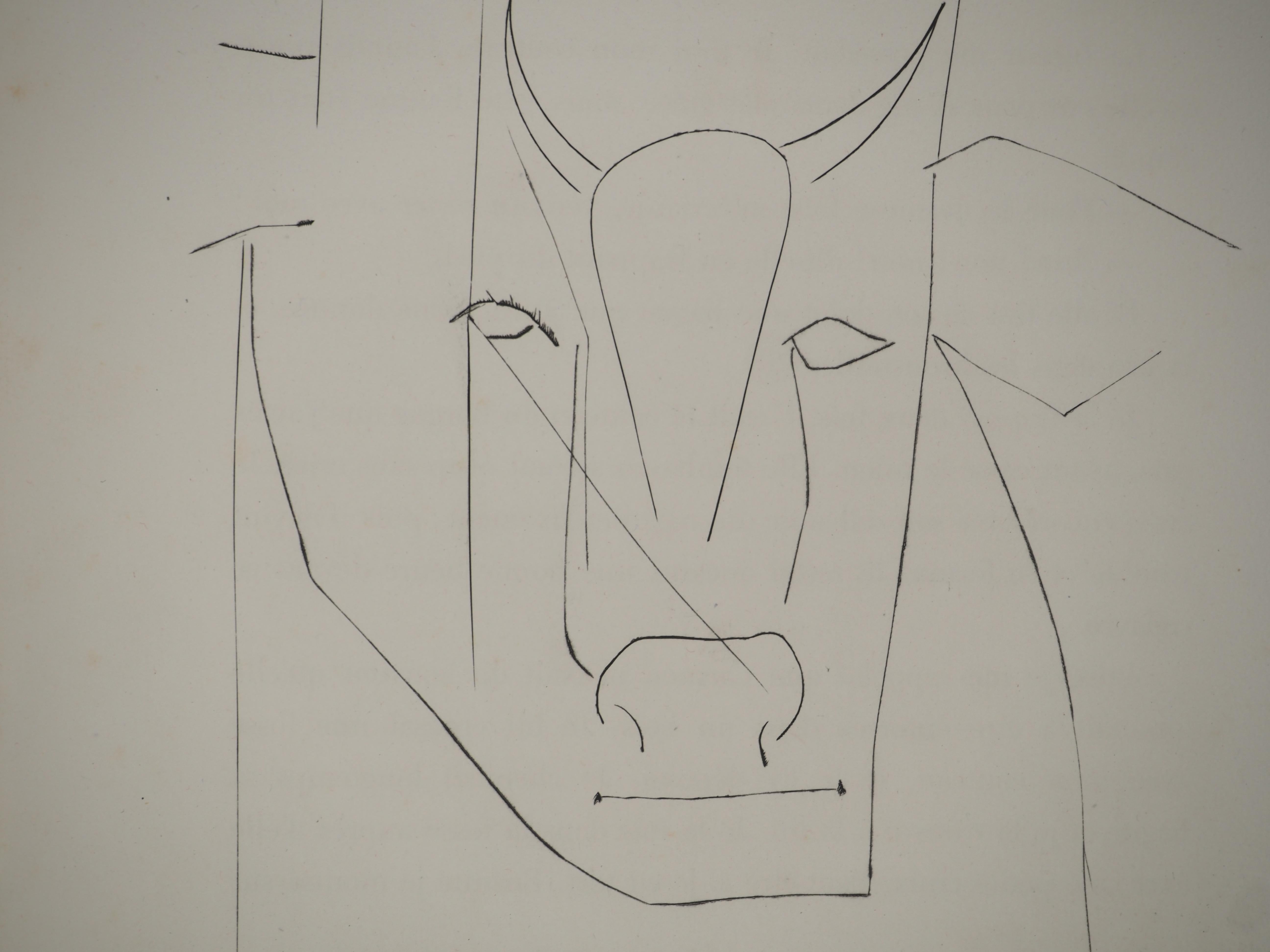 Carmen, The Bull's Horns - Original Etching (Cramer #52) - Gray Animal Print by Pablo Picasso