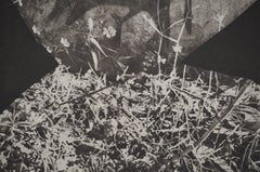 Diurnas: Un General - Colotipia original y plantilla (Cramer nº 115)