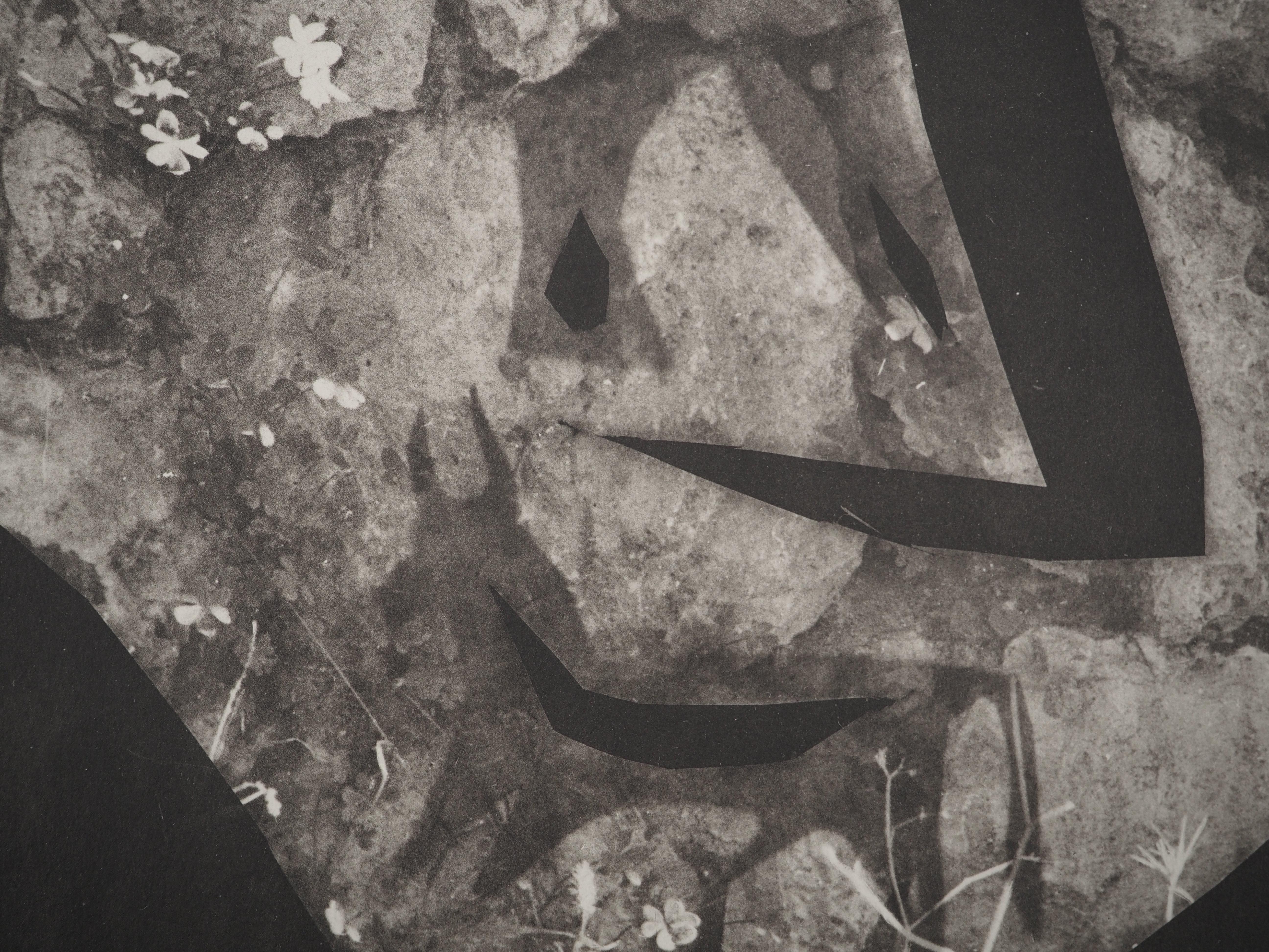 Pablo PICASSO (1881-1973)
Diurnes, A General, 1962

Original colotipia y estarcido (taller Jacomet) 
Sin signo
Limitado a 1000 ejemplares
Sobre papel 40 x 30 cm (c. 15,7 x 11,2 pulg.)

REFERENCIA : Catálogo razonado Cramer nº 115

INFORMACIÓN :
