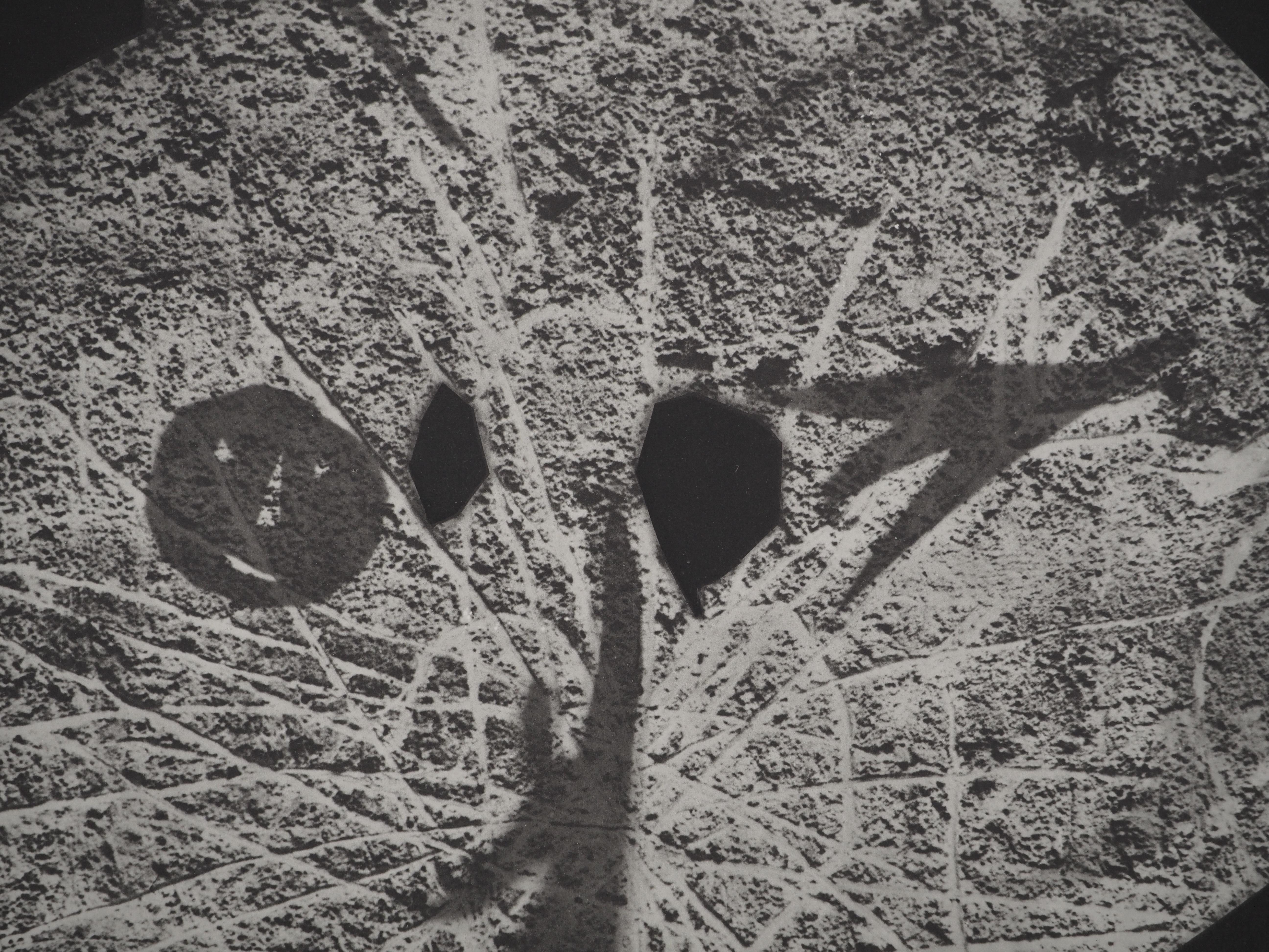 Diurnes: Human Shadow – Original Collotype und Schablone (Cramer #115) (Moderne), Print, von Pablo Picasso