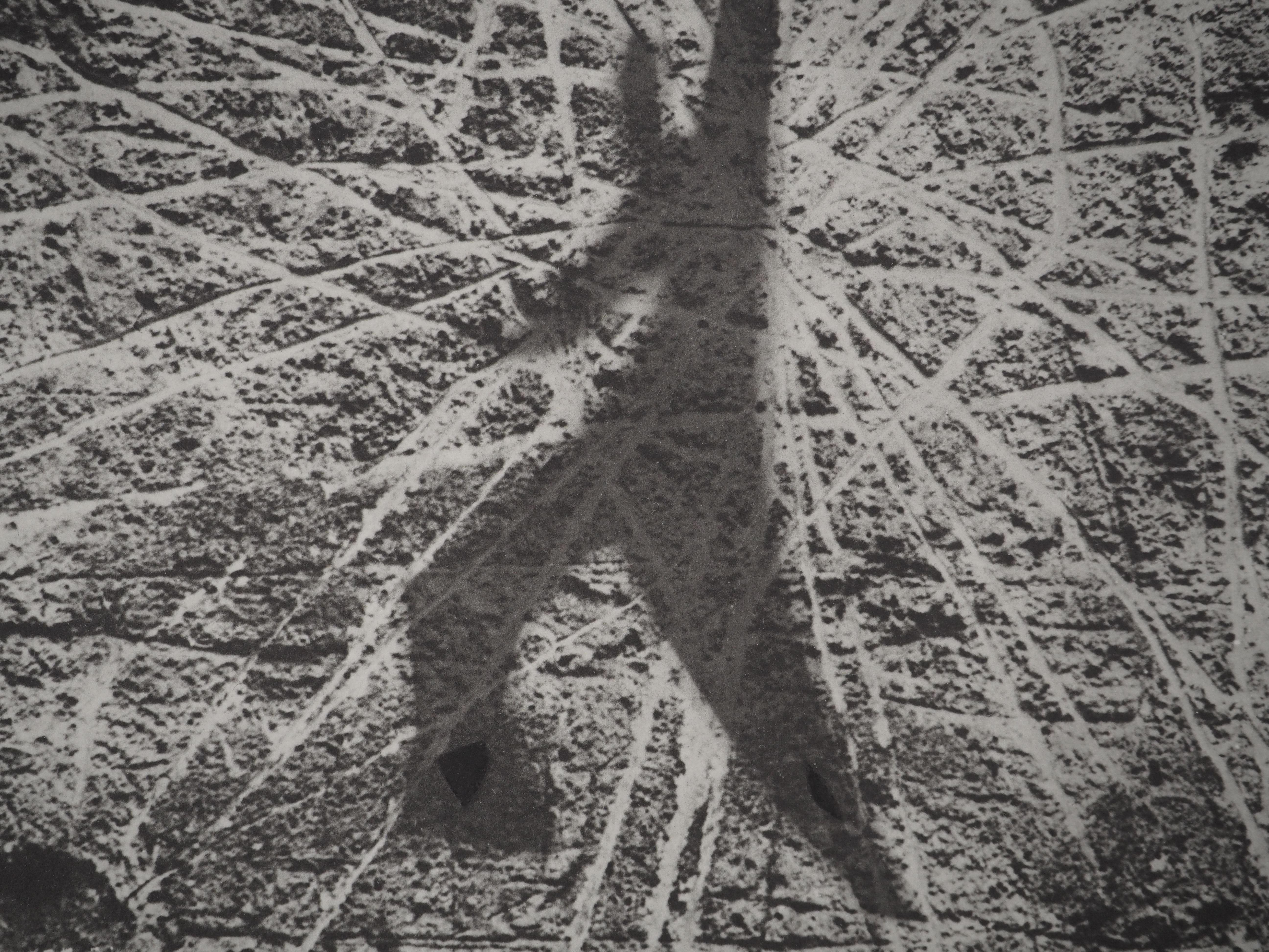 Diurnes: Human Shadow – Original Collotype und Schablone (Cramer #115) (Schwarz), Figurative Print, von Pablo Picasso