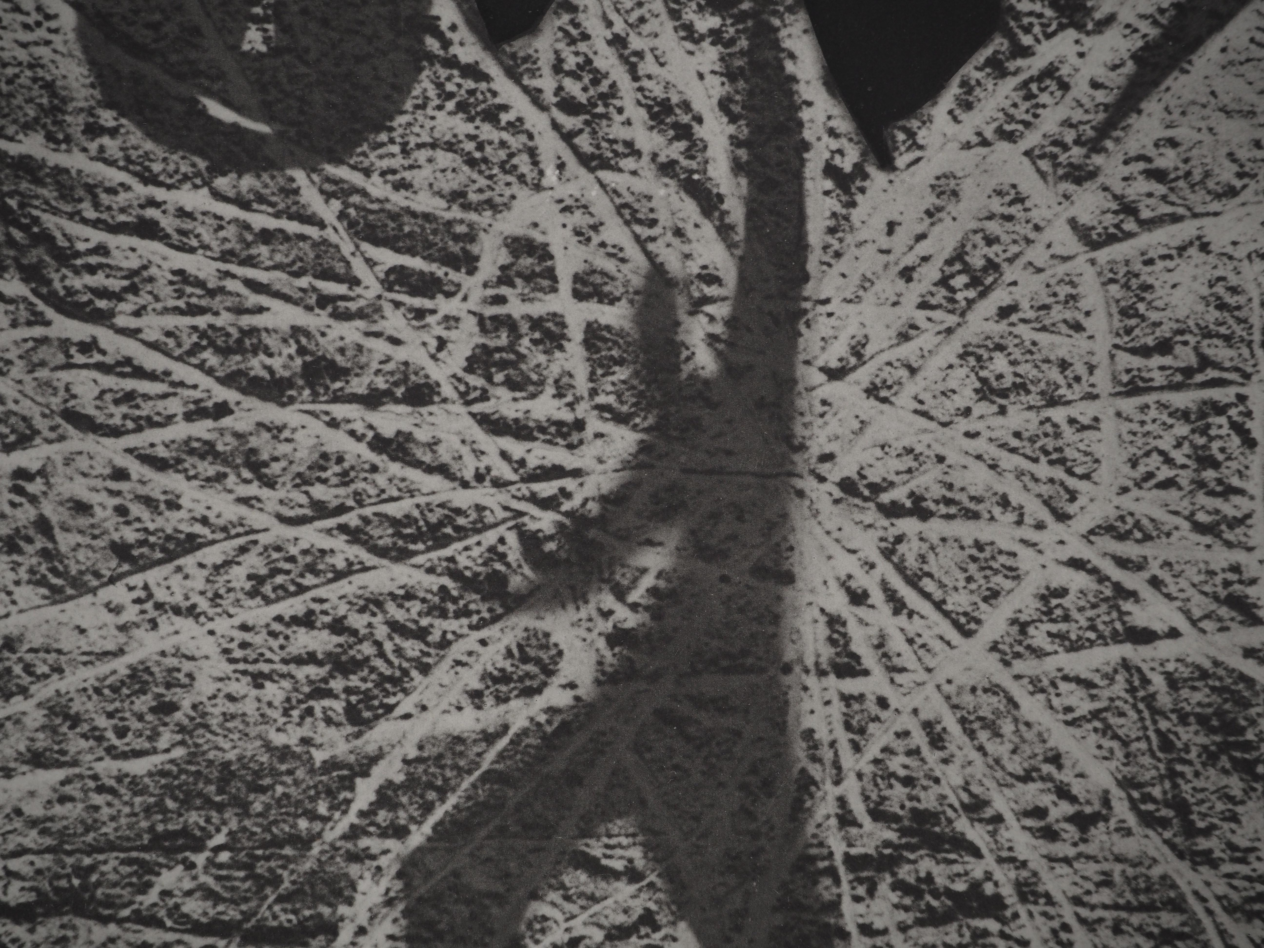 Diurnes: Human Shadow – Original Collotype und Schablone (Cramer #115) im Angebot 1