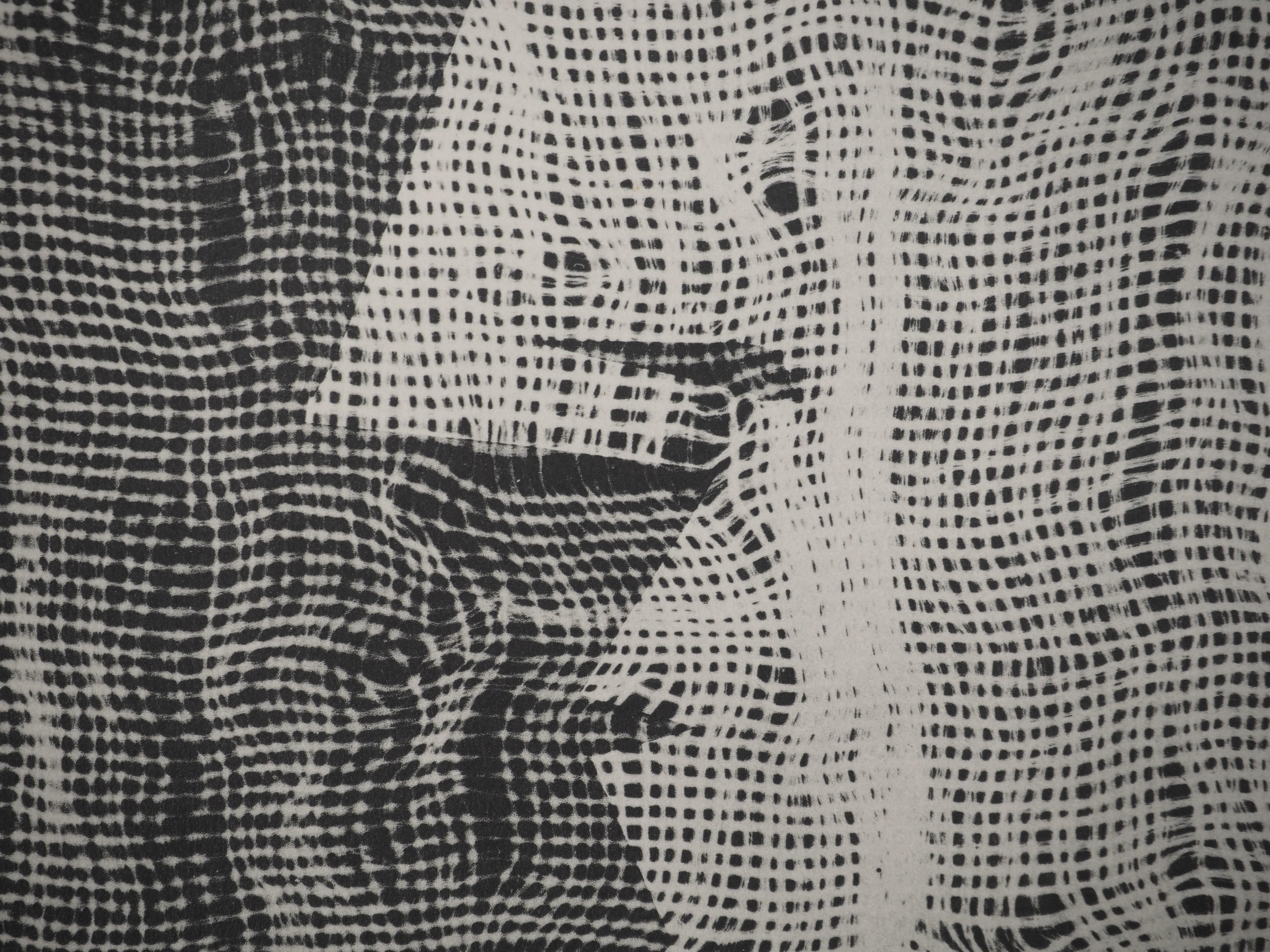 Pablo PICASSO (1881-1973)
Diurnes : Jacqueline à travers le tissu, 1962

Collotype et pochoir originaux (atelier Jacomet) 
Non signé
Limité à 1000 exemplaires
Sur papier 40 x 30 cm (c. 15.7 x 11.2 in)

REFERENCE : Catalogue raisonné Cramer