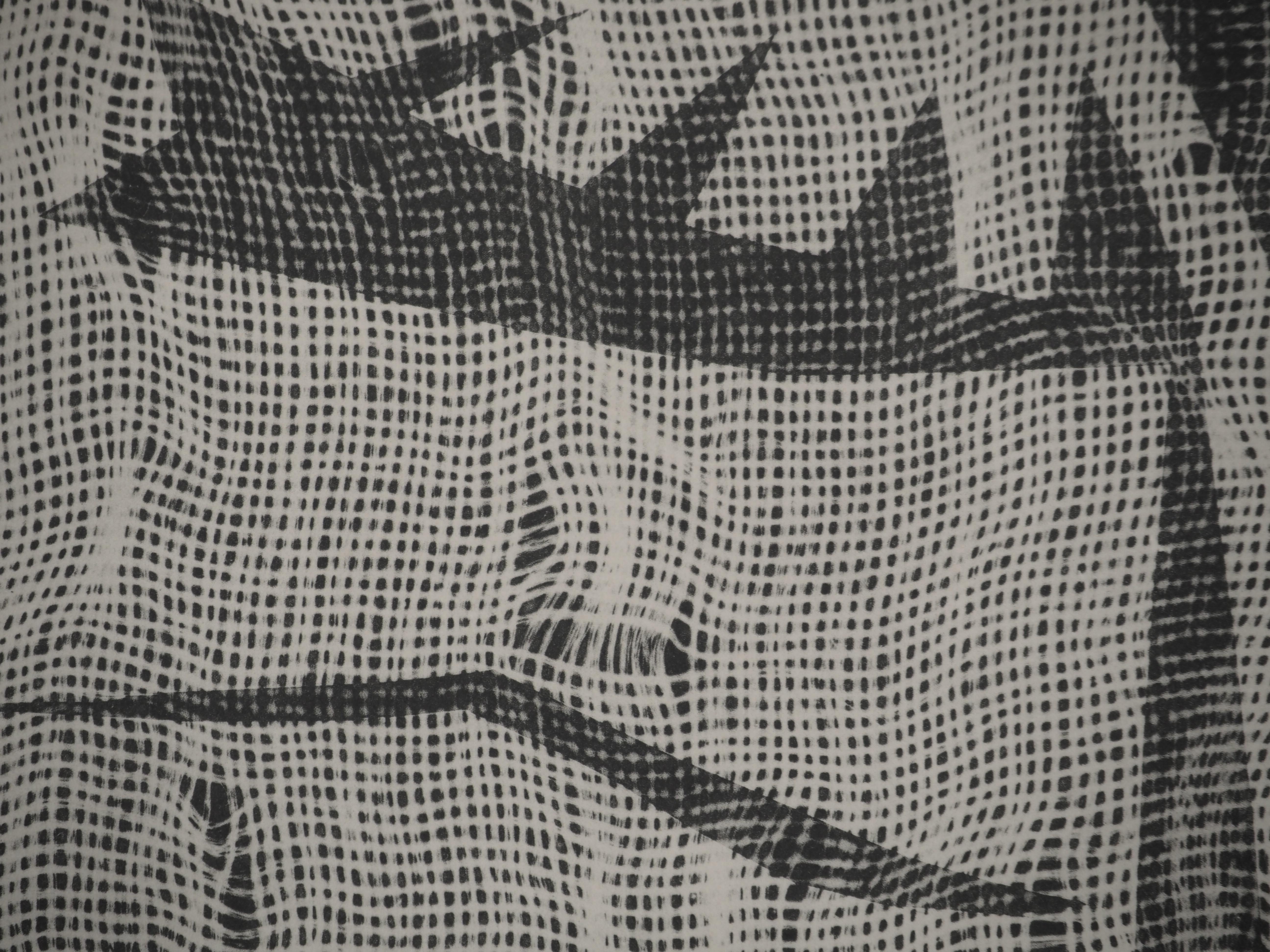 Diurnes : Jacqueline Through Fabric - Collotype et pochoir d'origine (Cramer #115 en vente 2