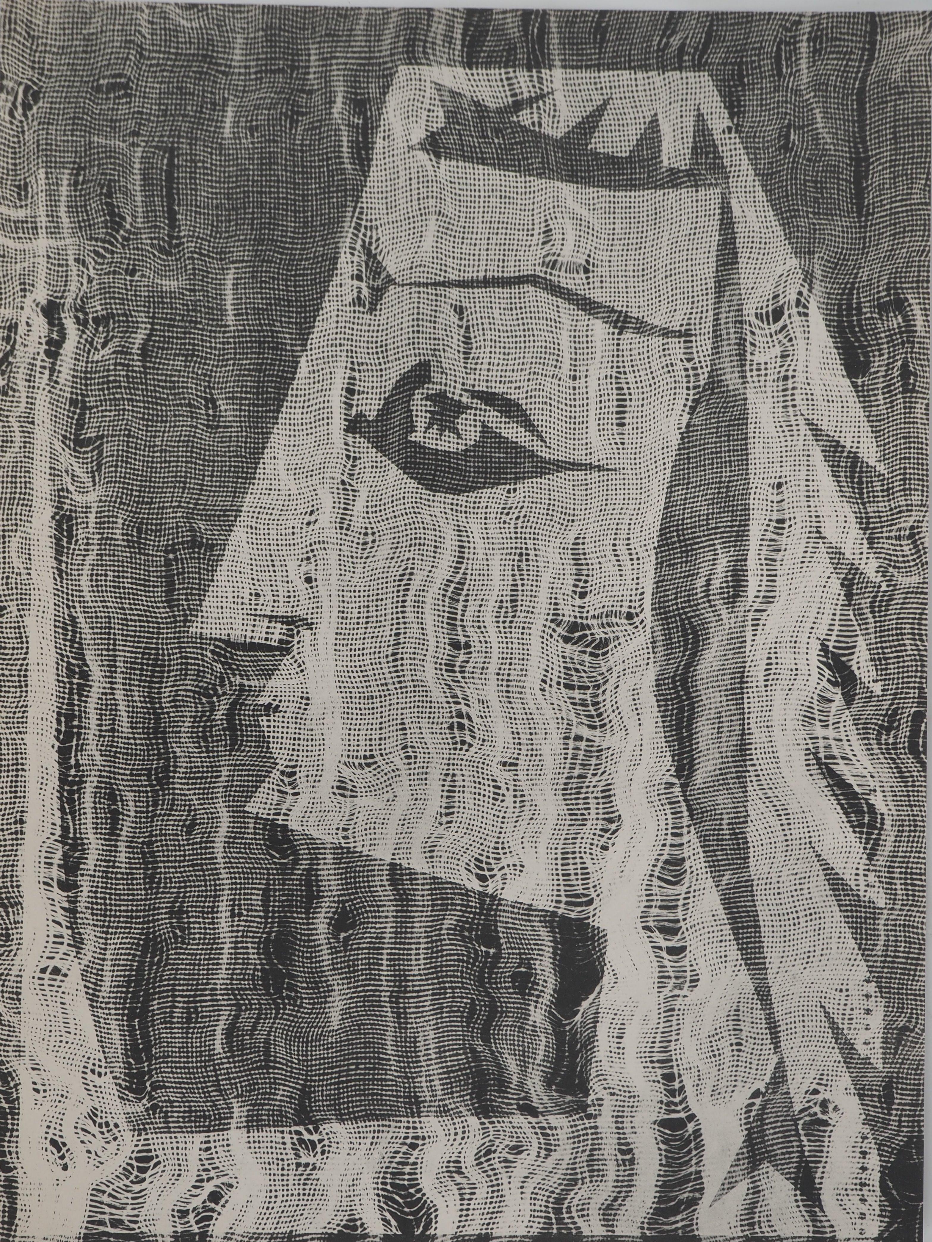 Diurnes: Jacqueline Through Fabric - Original Collotype and stencil (Cramer #115