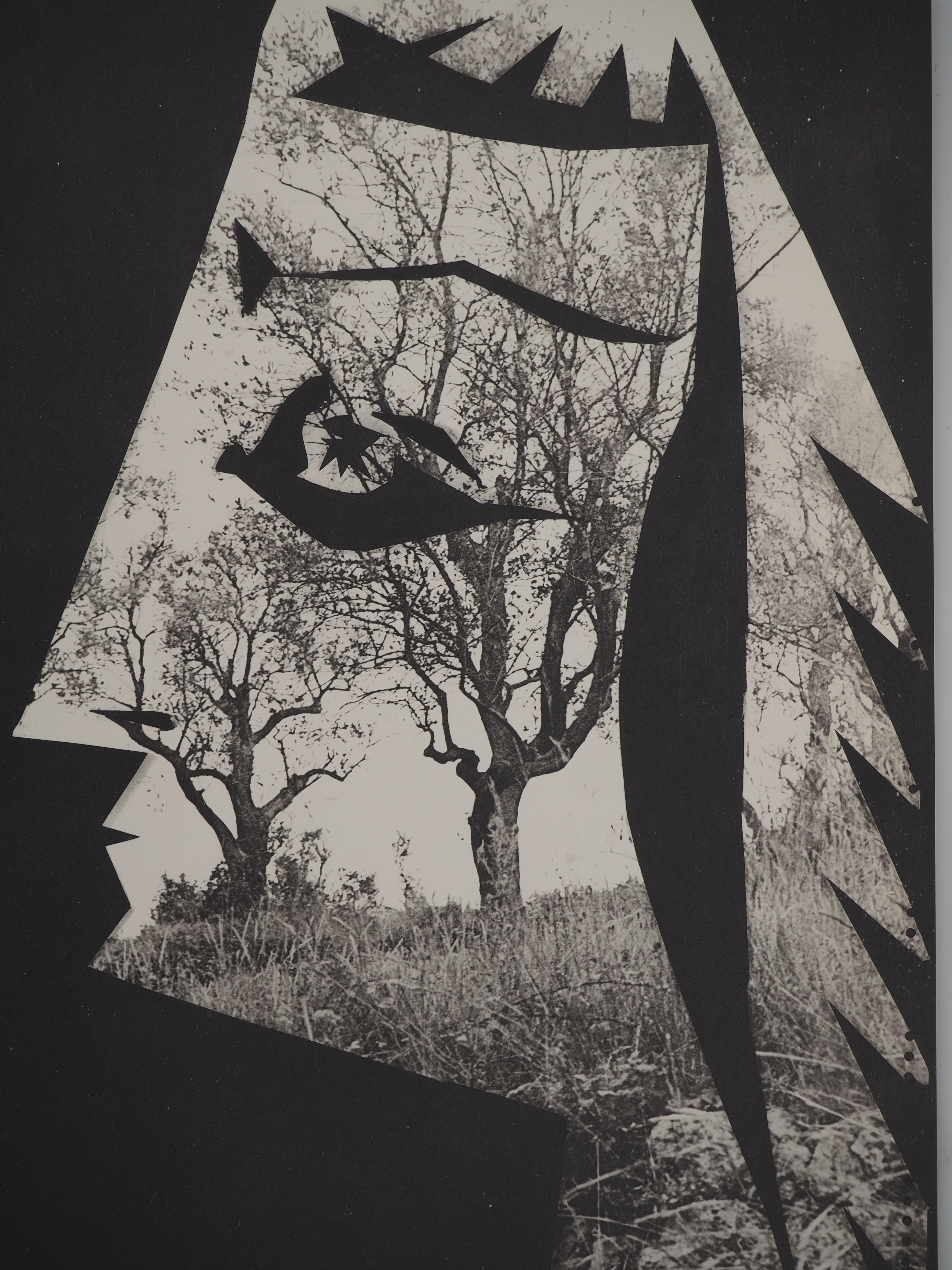 Diurnes: L'albero di Jacqueline - Collotype originale e stencil (Cramer #115) - Print di Pablo Picasso