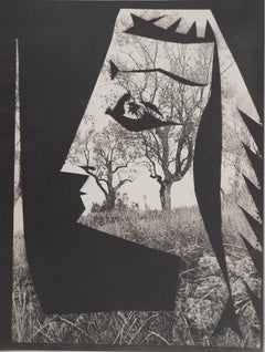 Diurnes: Jacqueline's Tree - Original Collotype and Stencil (Cramer #115)