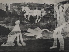 Diurnes : Man with Cats II - Original Collotype and Stencil (Cramer #115)