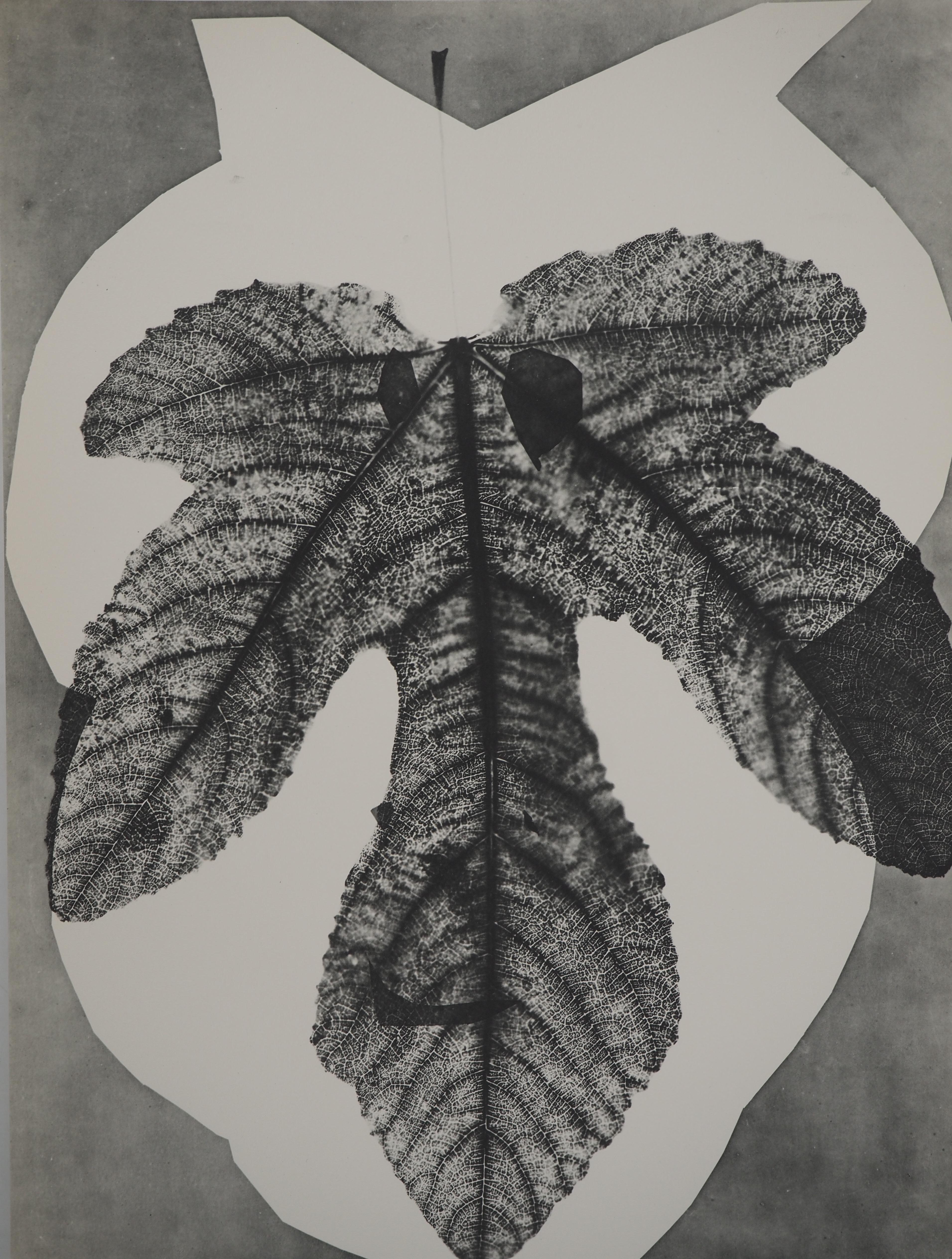 Diurnes: Midas – Original Collotype und Schablone (Cramer #115) – Print von Pablo Picasso