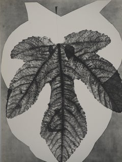 Diurnes : Midas - Original Collotype and Stencil (Cramer #115)