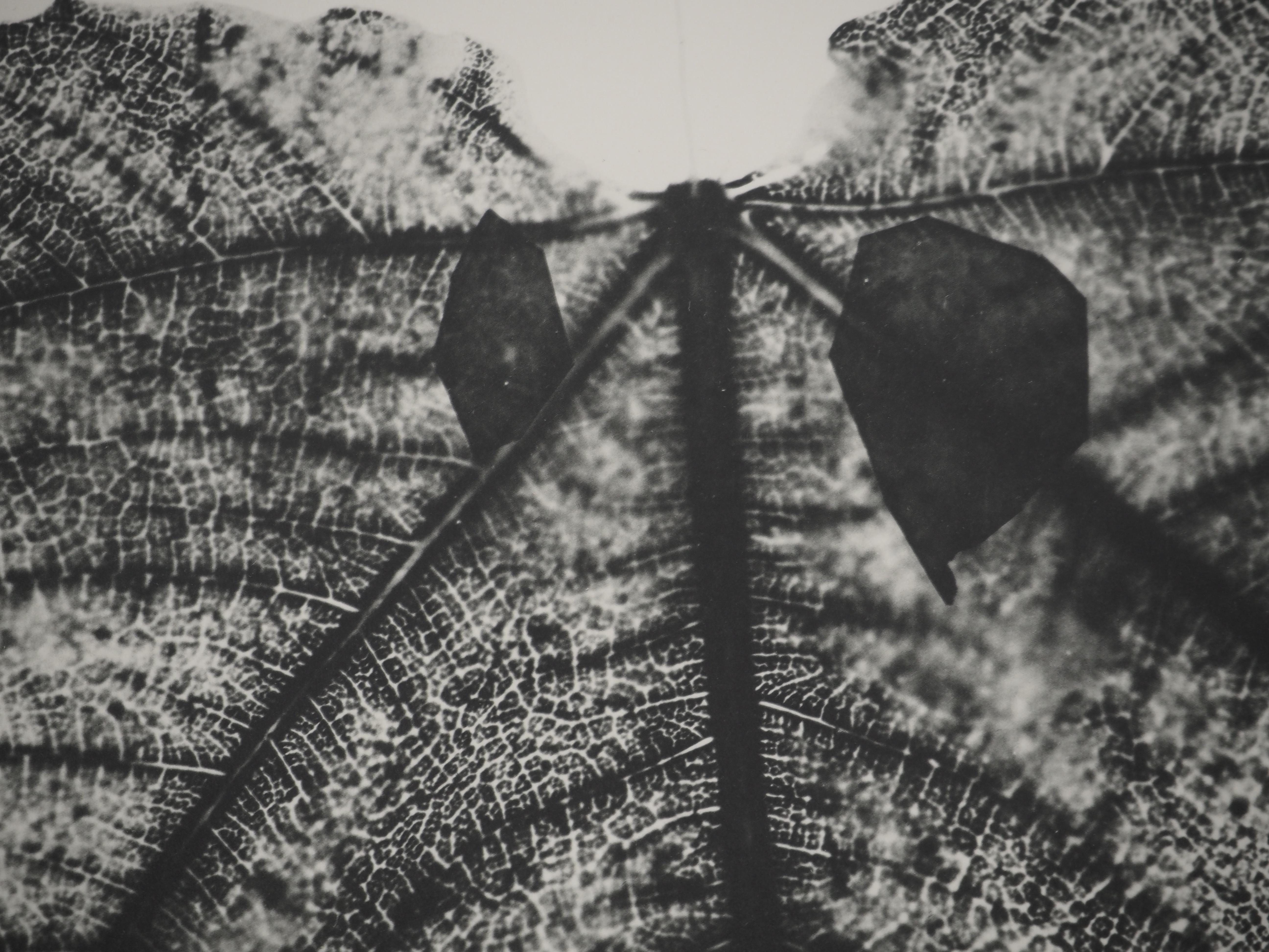 Diurnes: Midas – Original Collotype und Schablone (Cramer #115) (Grau), Figurative Print, von Pablo Picasso
