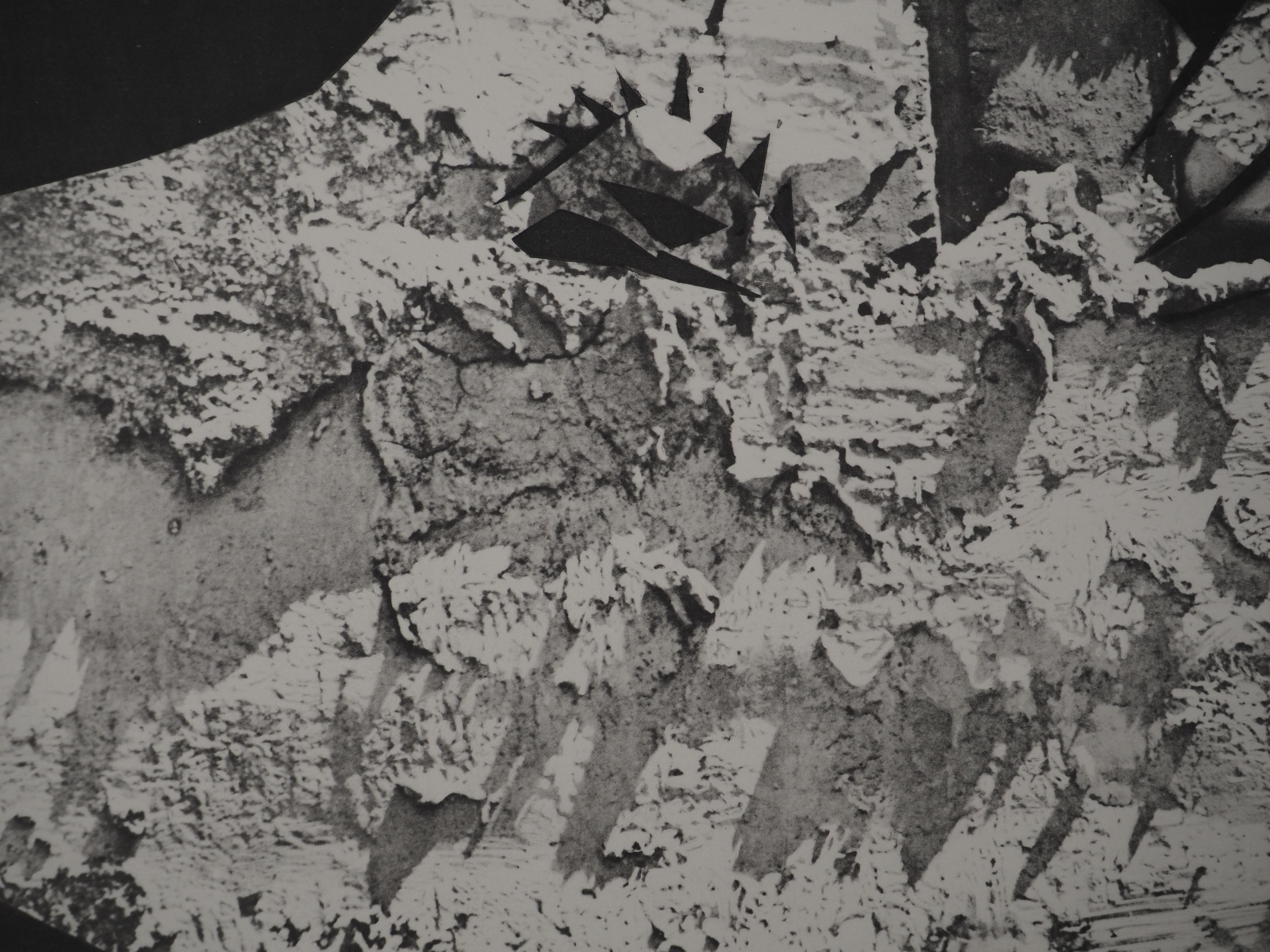 Diurnes: On the Rock – Original Collotype und Schablone (Cramer #115) (Moderne), Print, von Pablo Picasso