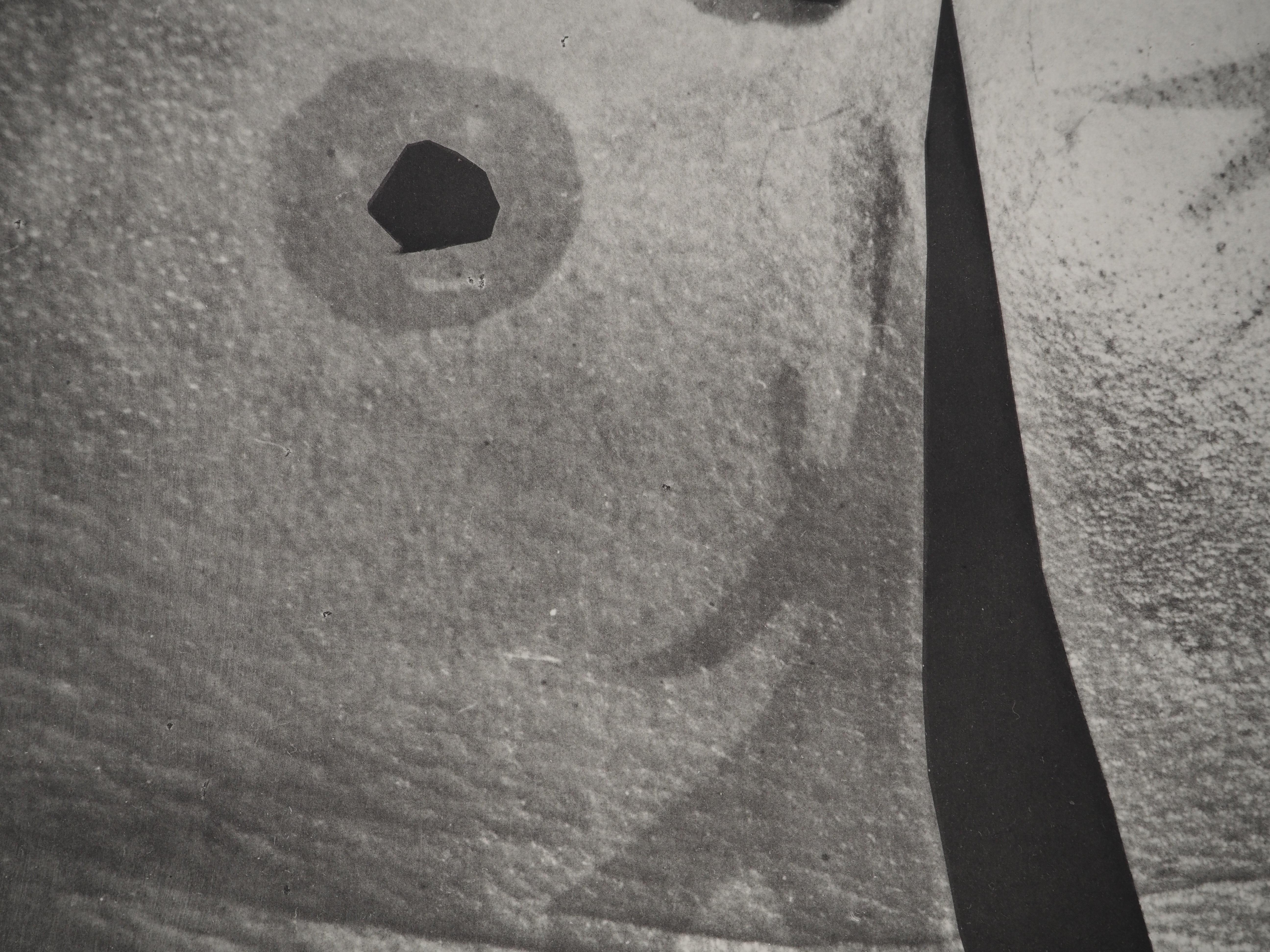 Diurnes: Ritratto con naso alto - Collotype originale e stencil (Cramer #115) - Figurative Print Grigio di Pablo Picasso