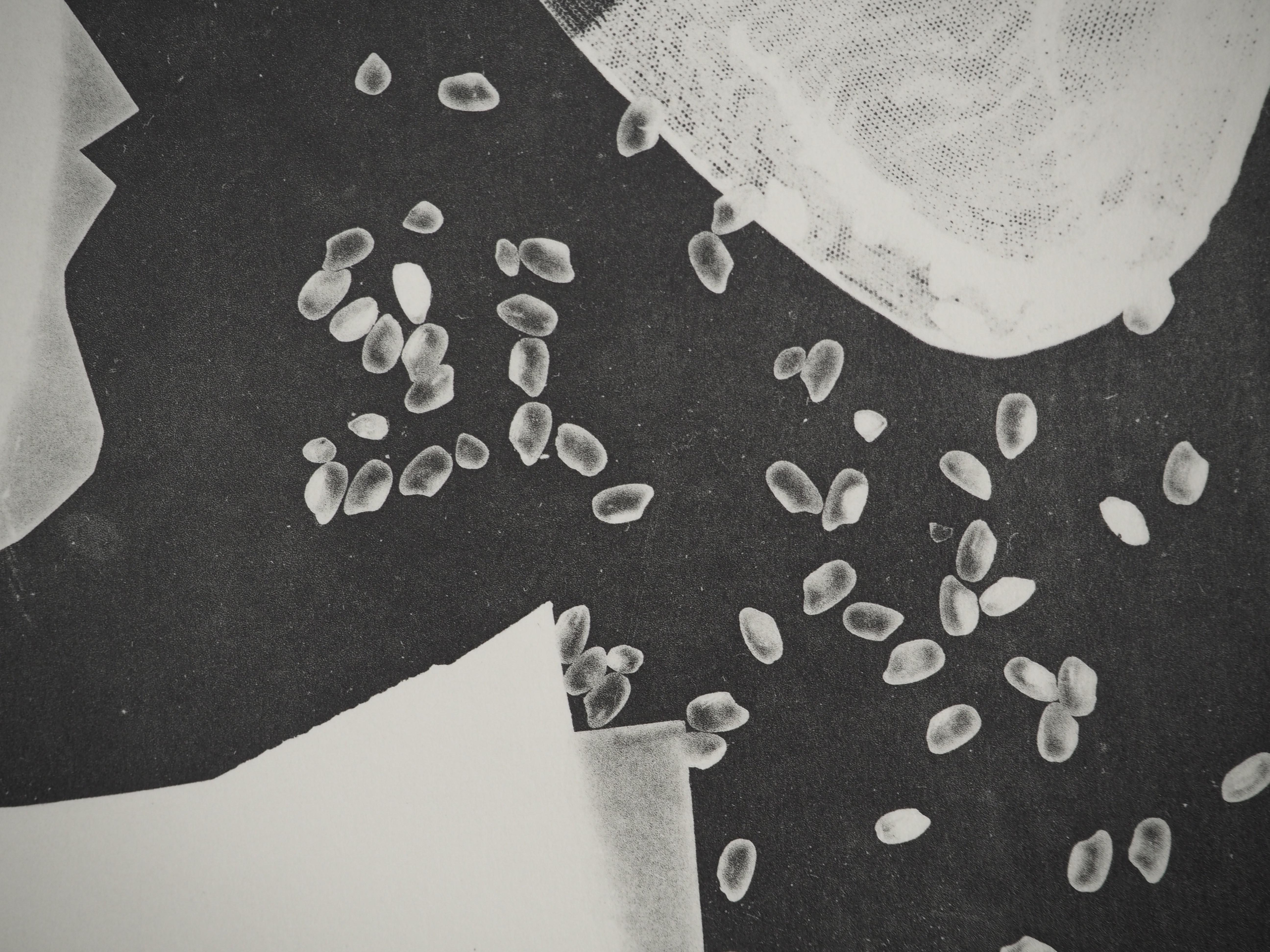 Diurnes: Die Braut – Original Collotyp und Schablone (Cramer#115) (Schwarz), Figurative Print, von Pablo Picasso