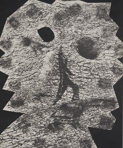 Diurnes: The Deepest Silence - Original Collotype and Stencil (Cramer#115)
