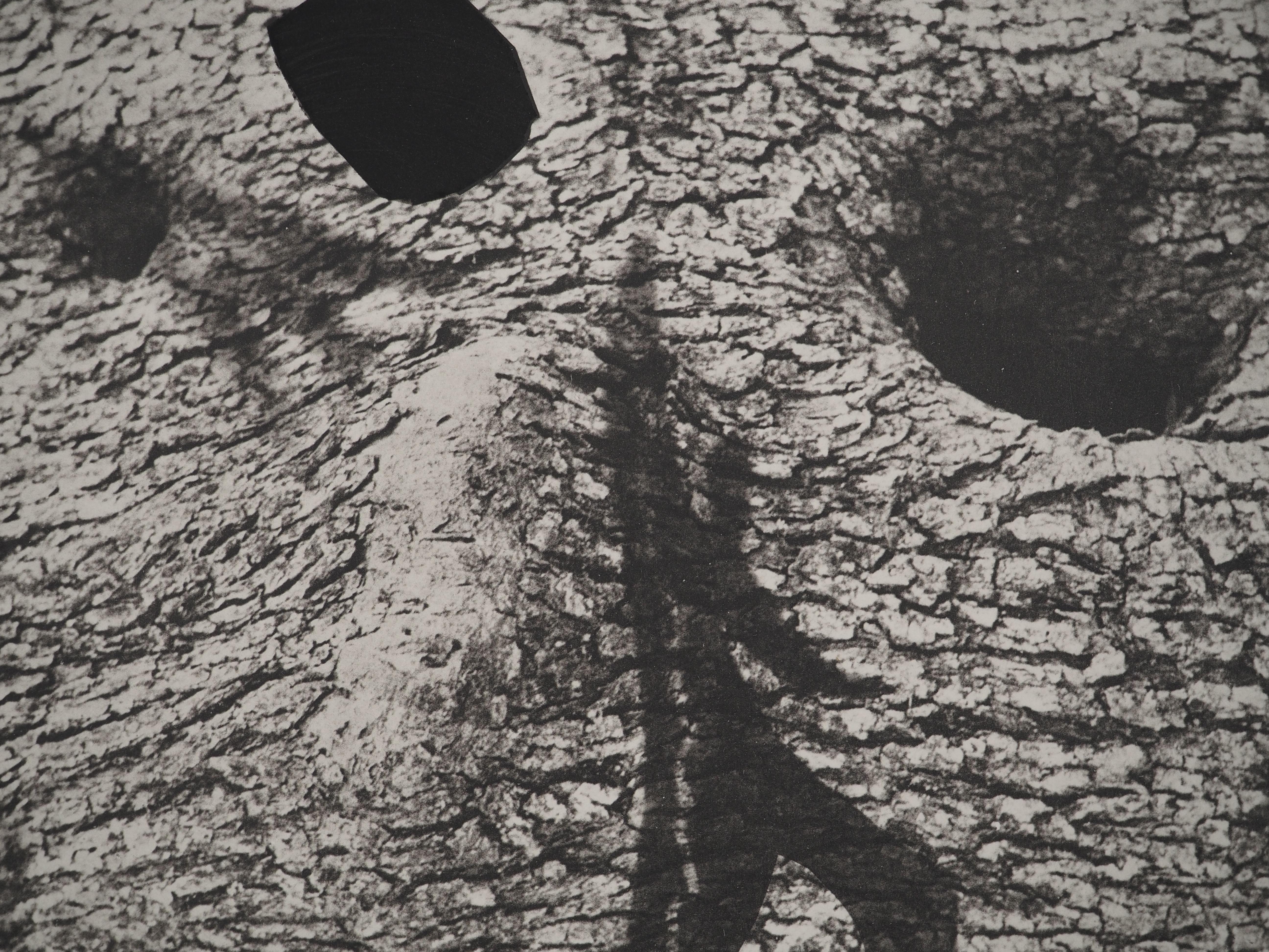 Diurnes: The Deepest Silence – Original Collotype und Schablone (Cramer#115) (Grau), Figurative Print, von Pablo Picasso