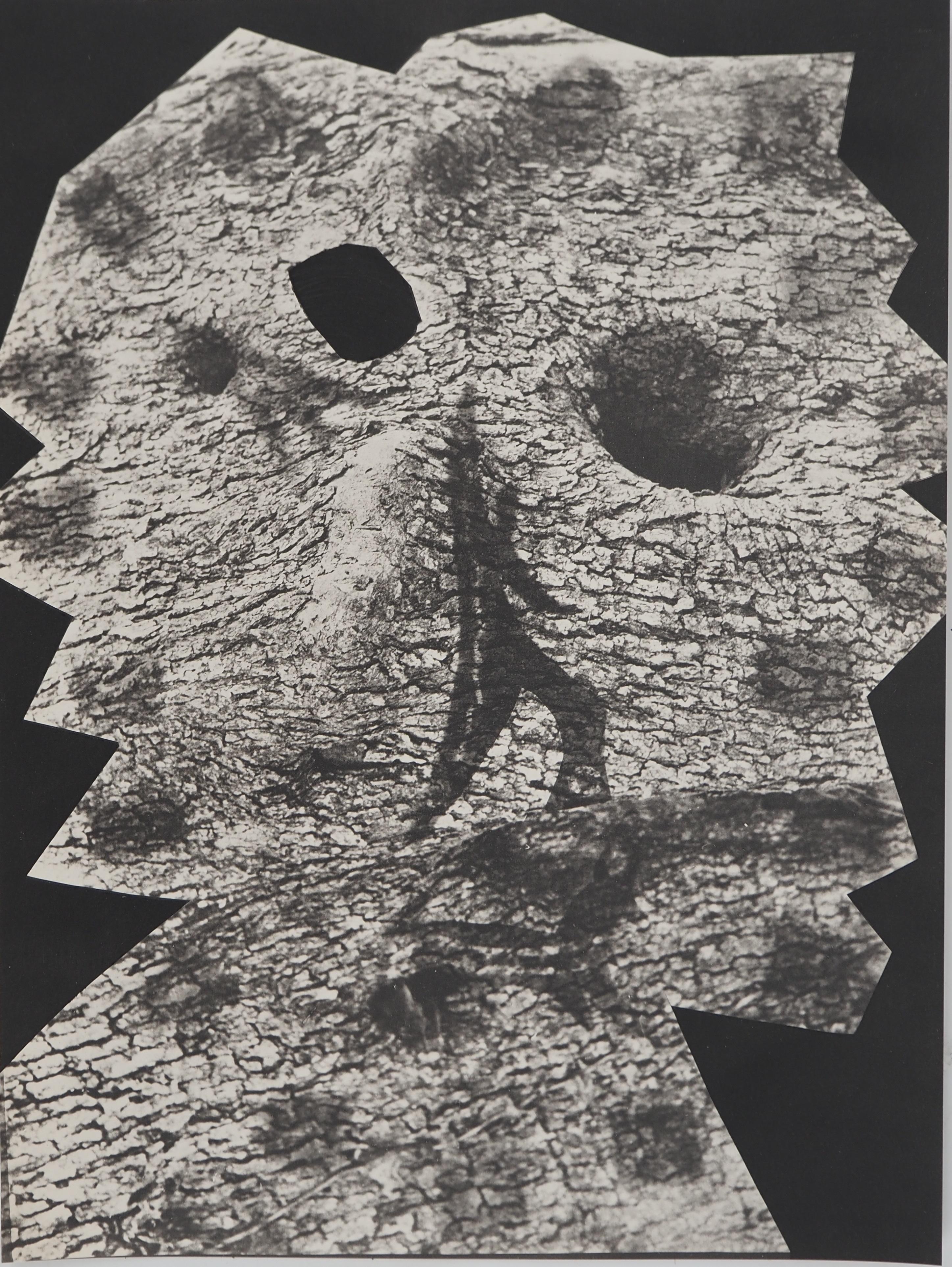 Pablo Picasso Figurative Print – Diurnes: The Deepest Silence – Original Collotype und Schablone (Cramer#115)