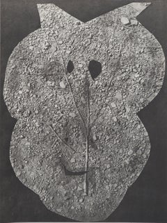 Vintage Diurnes:  The Forest Floor - Original Collotype and Stencil (Cramer #115)