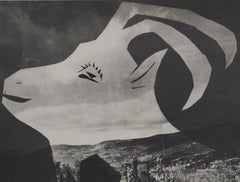 Diurnes: The Goat in a Mountain - Original Collotype and Stencil (Cramer #115)