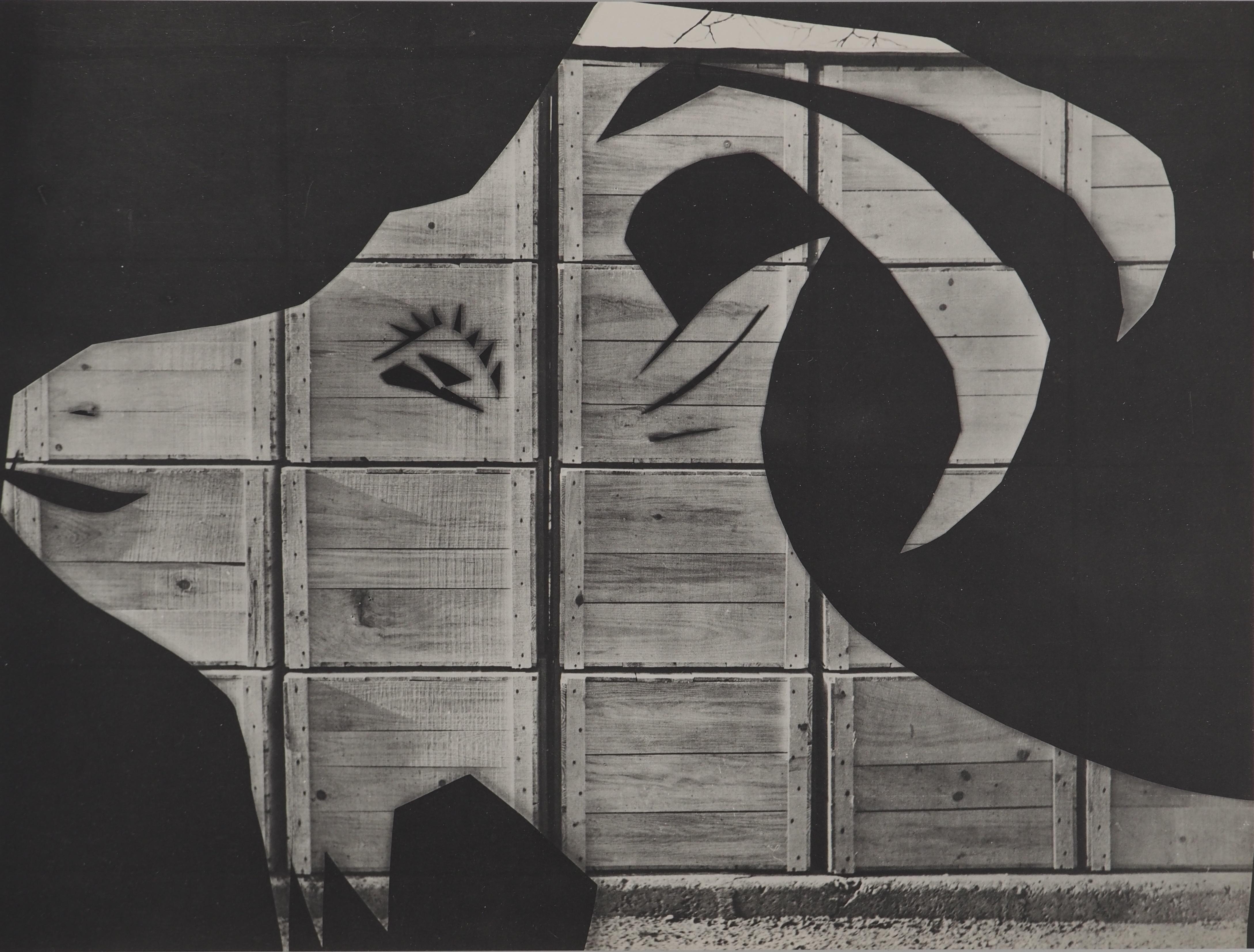 Diurnes: The Goat in the Farm - Original Collotype and Stencil (Cramer #115)