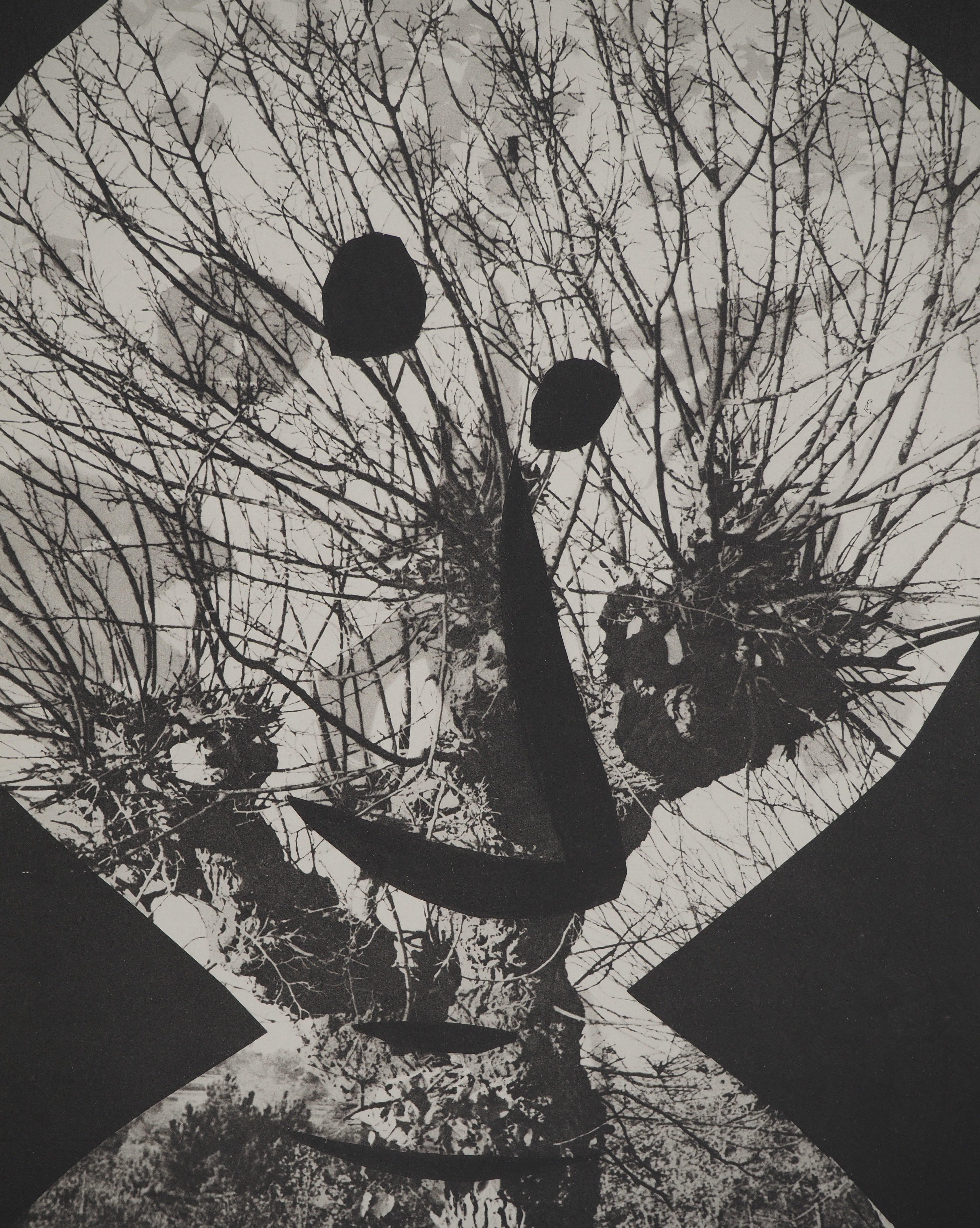 Diurnes : The Guy in a Tree - Collotype et pochoir d'origine (Cramer #115) - Print de Pablo Picasso