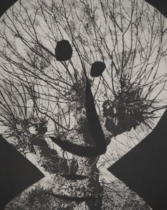 Diurnes: The Guy in a Tree - Original Collotype and Stencil (Cramer #115)
