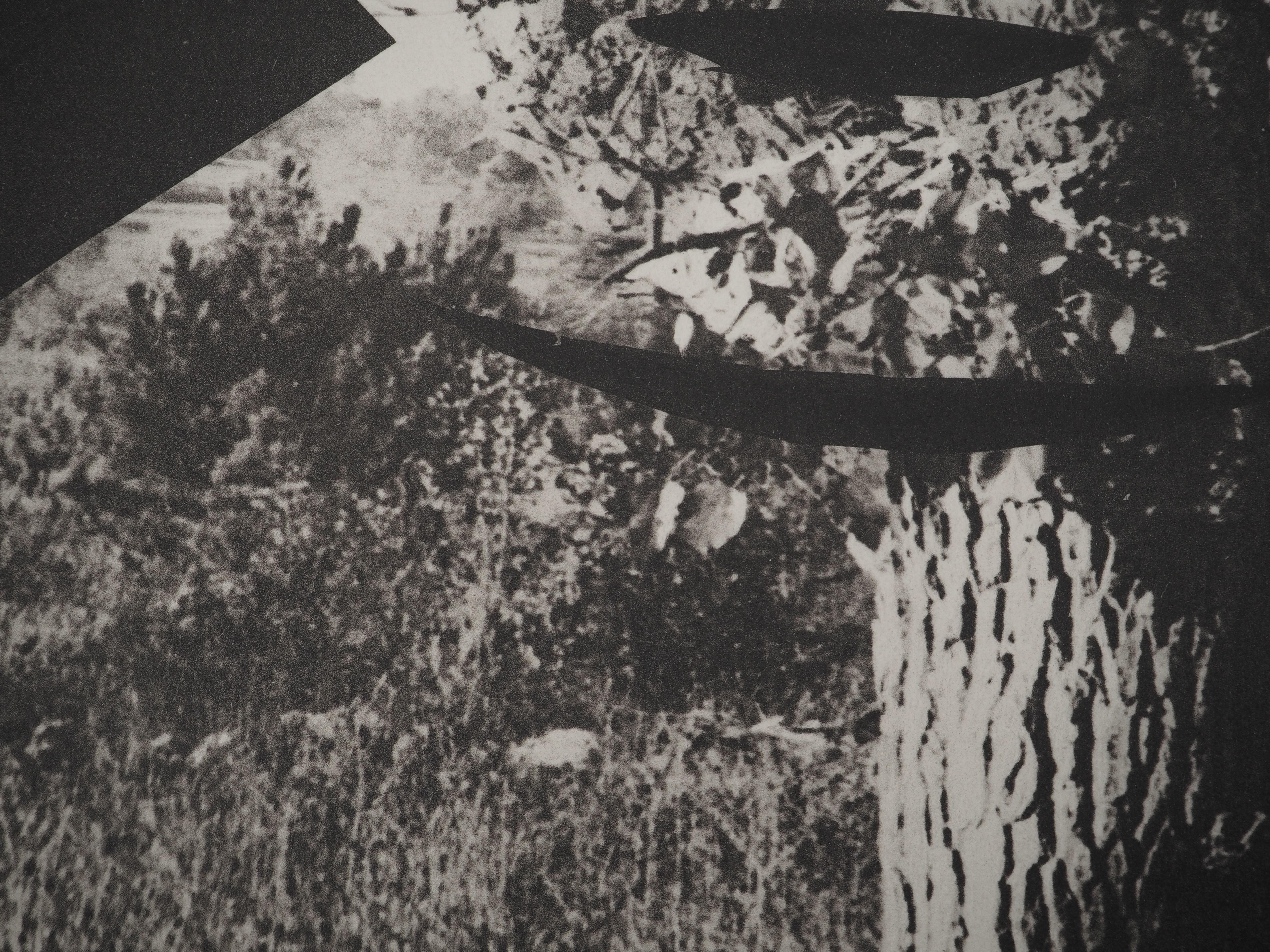Diurnes : The Guy in a Tree - Collotype et pochoir d'origine (Cramer #115) - Moderne Print par Pablo Picasso