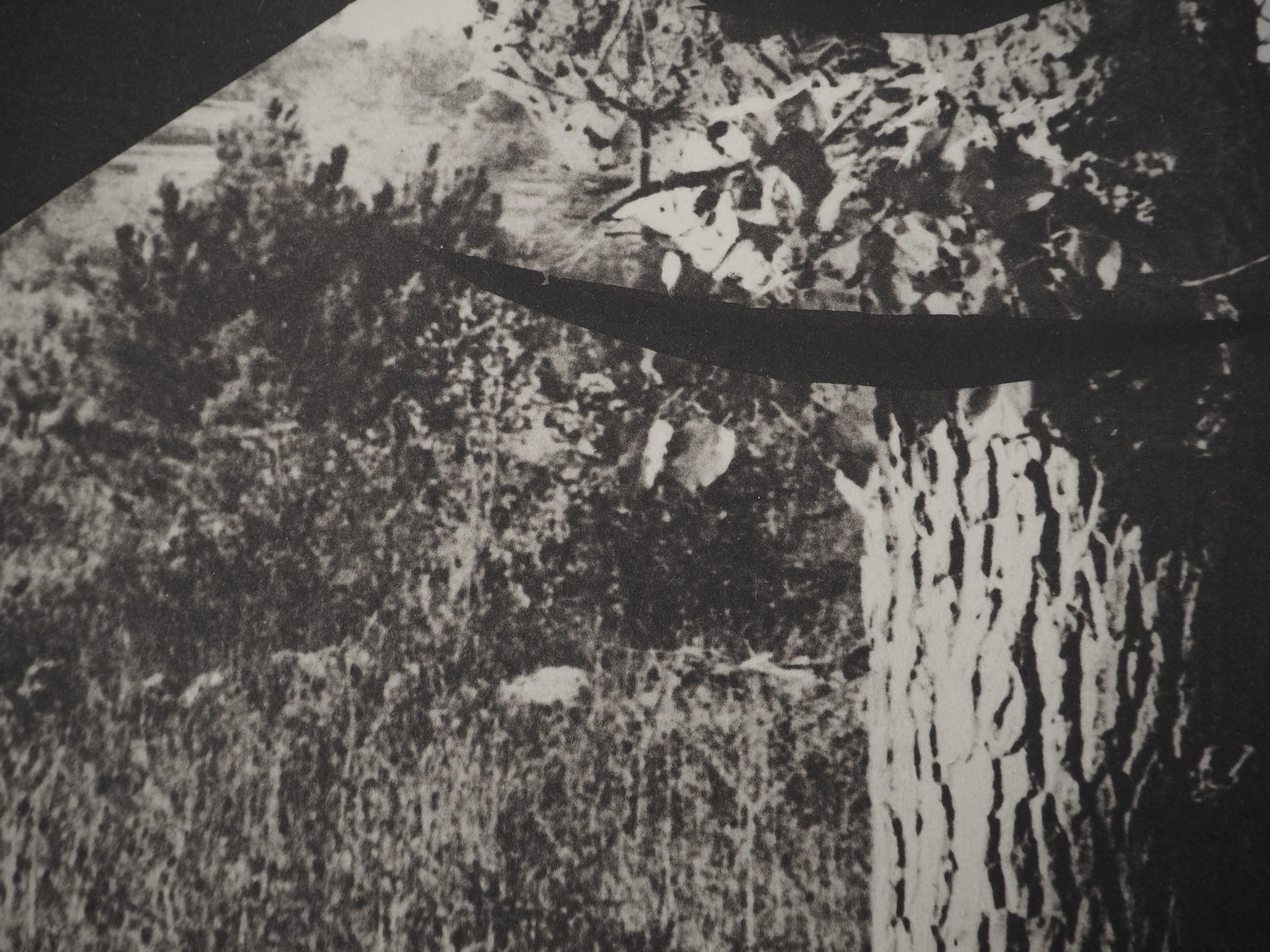 Diurnes : The Guy in a Tree - Collotype et pochoir d'origine (Cramer #115) - Noir Figurative Print par Pablo Picasso
