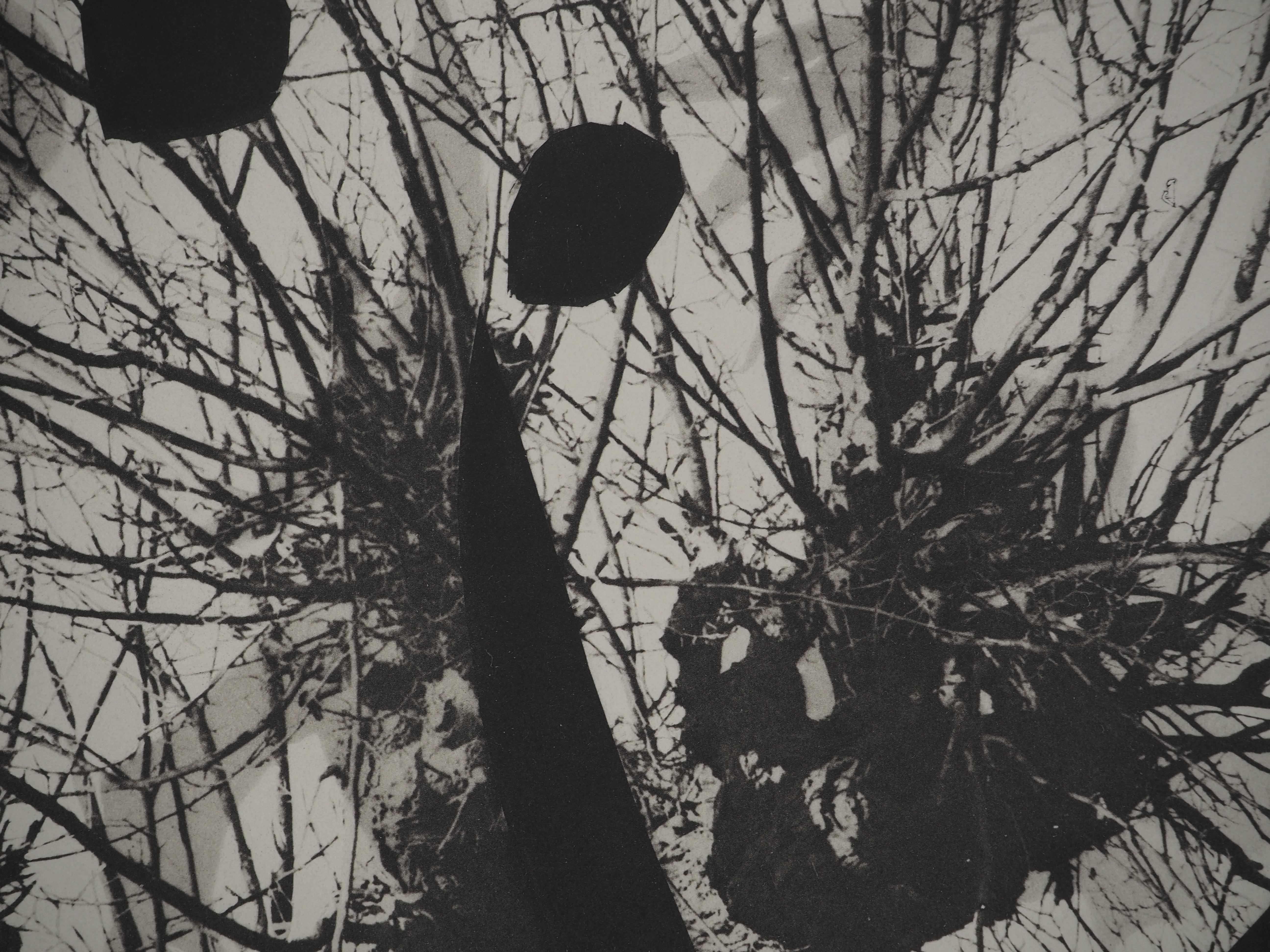 Pablo PICASSO (1881-1973)
Diurnes, Le gars dans l'arbre, 1962

Collotype et pochoir originaux (atelier Jacomet) 
Non signé
Limité à 1000 exemplaires
Sur papier 40 x 30 cm (c. 15,7 x 11,8 in)

REFERENCE : Catalogue raisonné Cramer #115

INFORMATION :