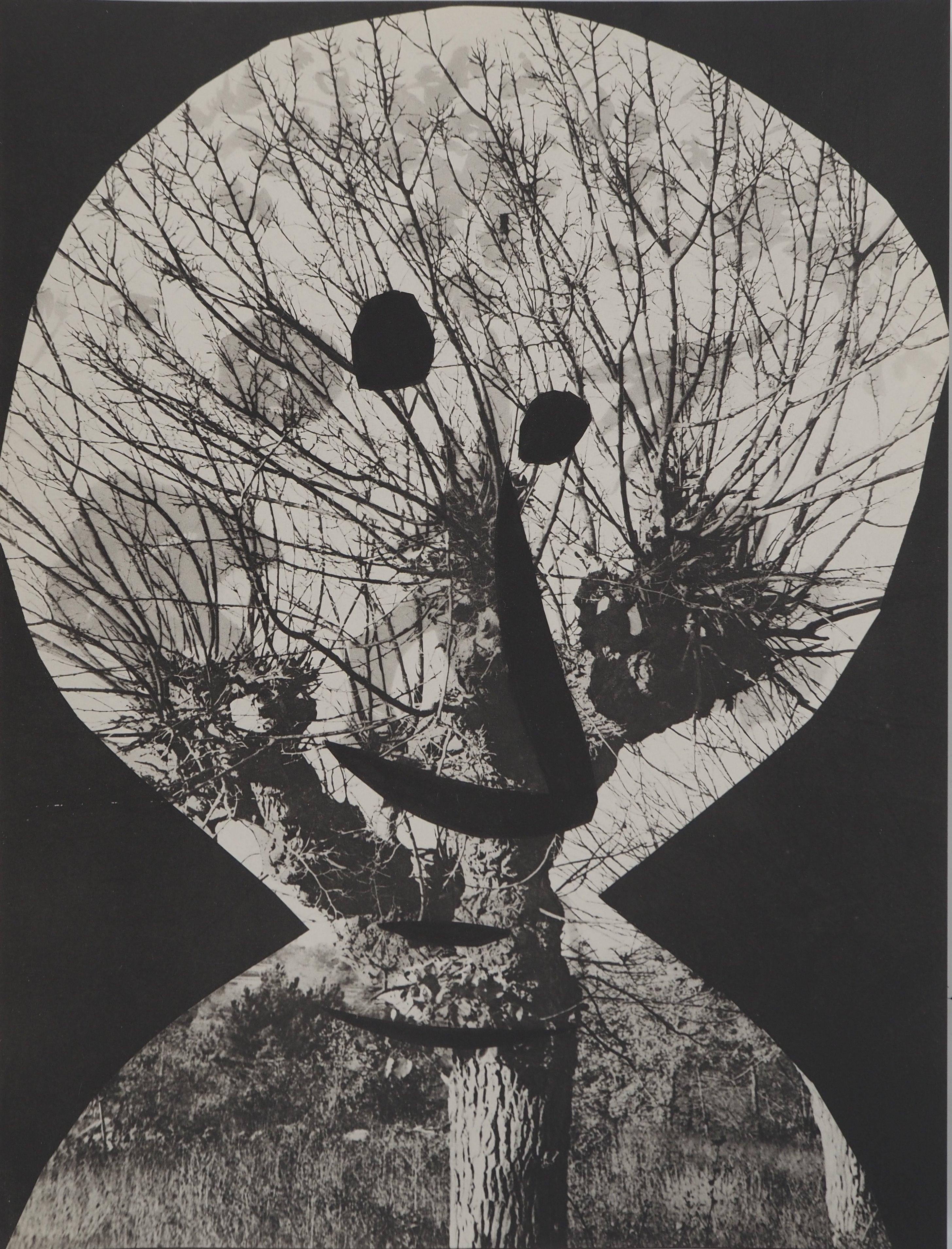 Figurative Print Pablo Picasso - Diurnes : The Guy in a Tree - Collotype et pochoir d'origine (Cramer #115)