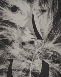 Diurnes: Werewolf (on Fire) - Original Collotype and Stencil (Cramer #115)