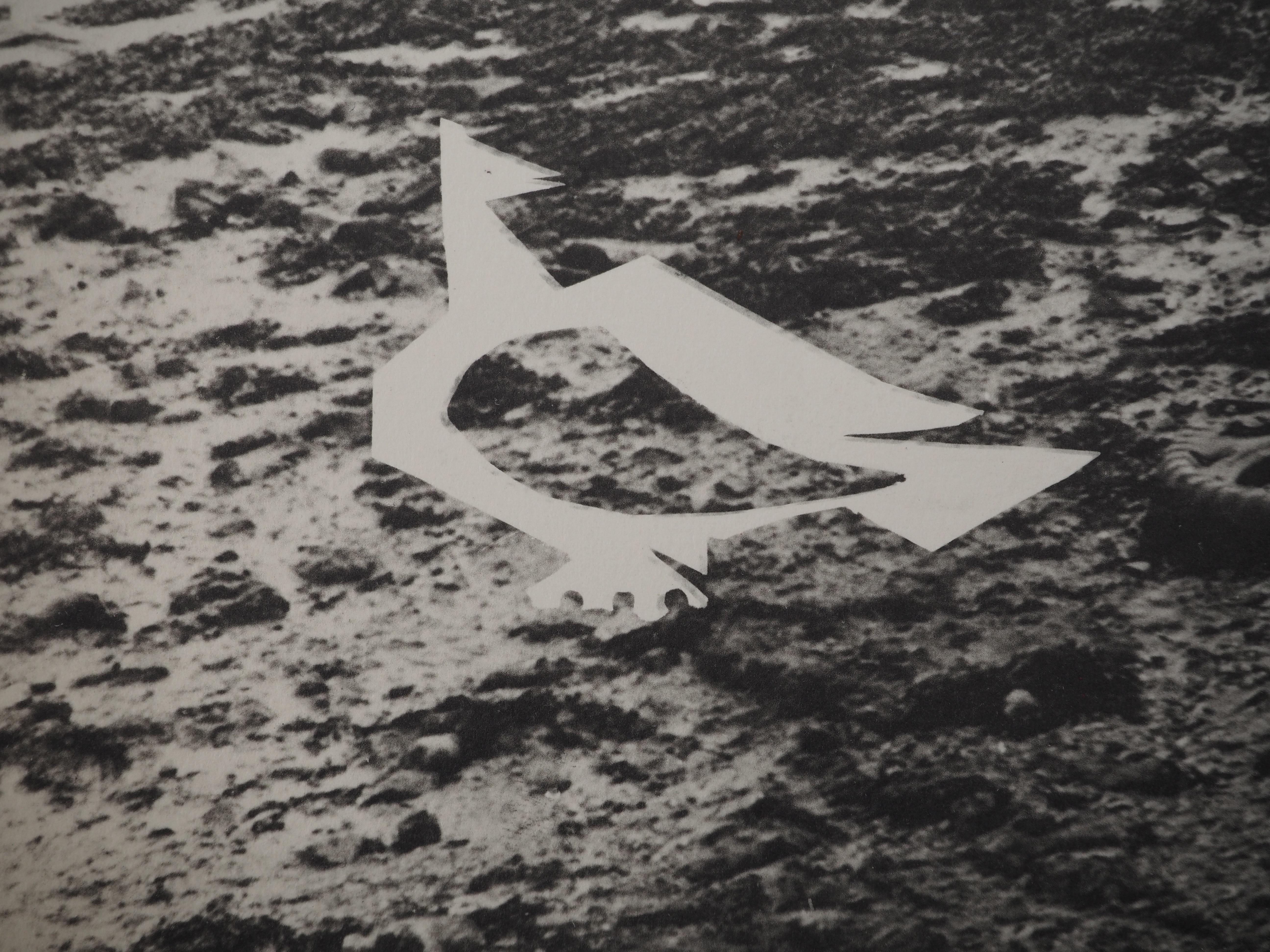 Diurnes : Donna in riva al mare - Collotype originale e stencil (Cramer #115) - Print Moderno di Pablo Picasso