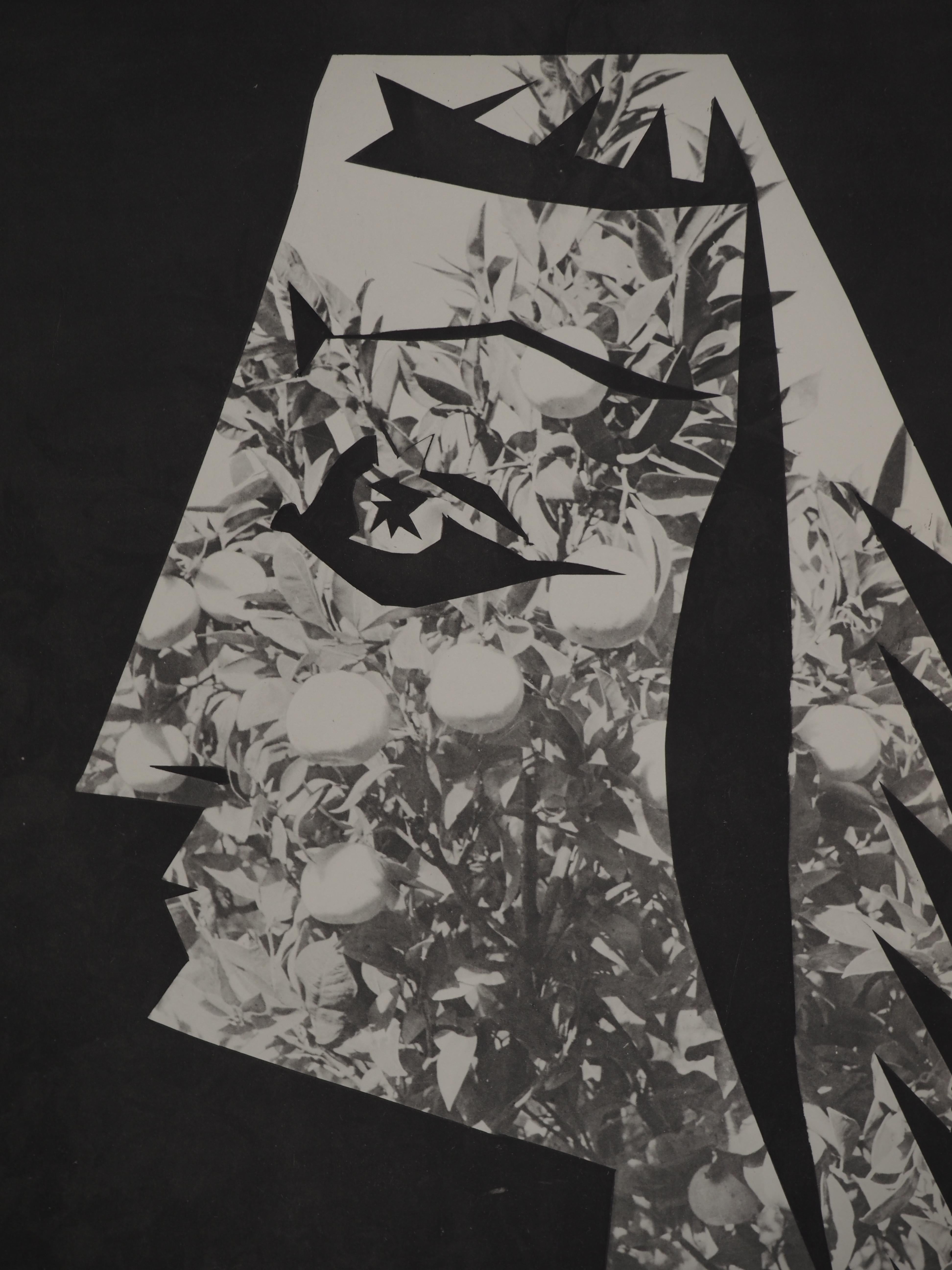 Diurnes: Donna in un albero di limoni - Collotype originale e stencil (Cramer #115) - Print di Pablo Picasso