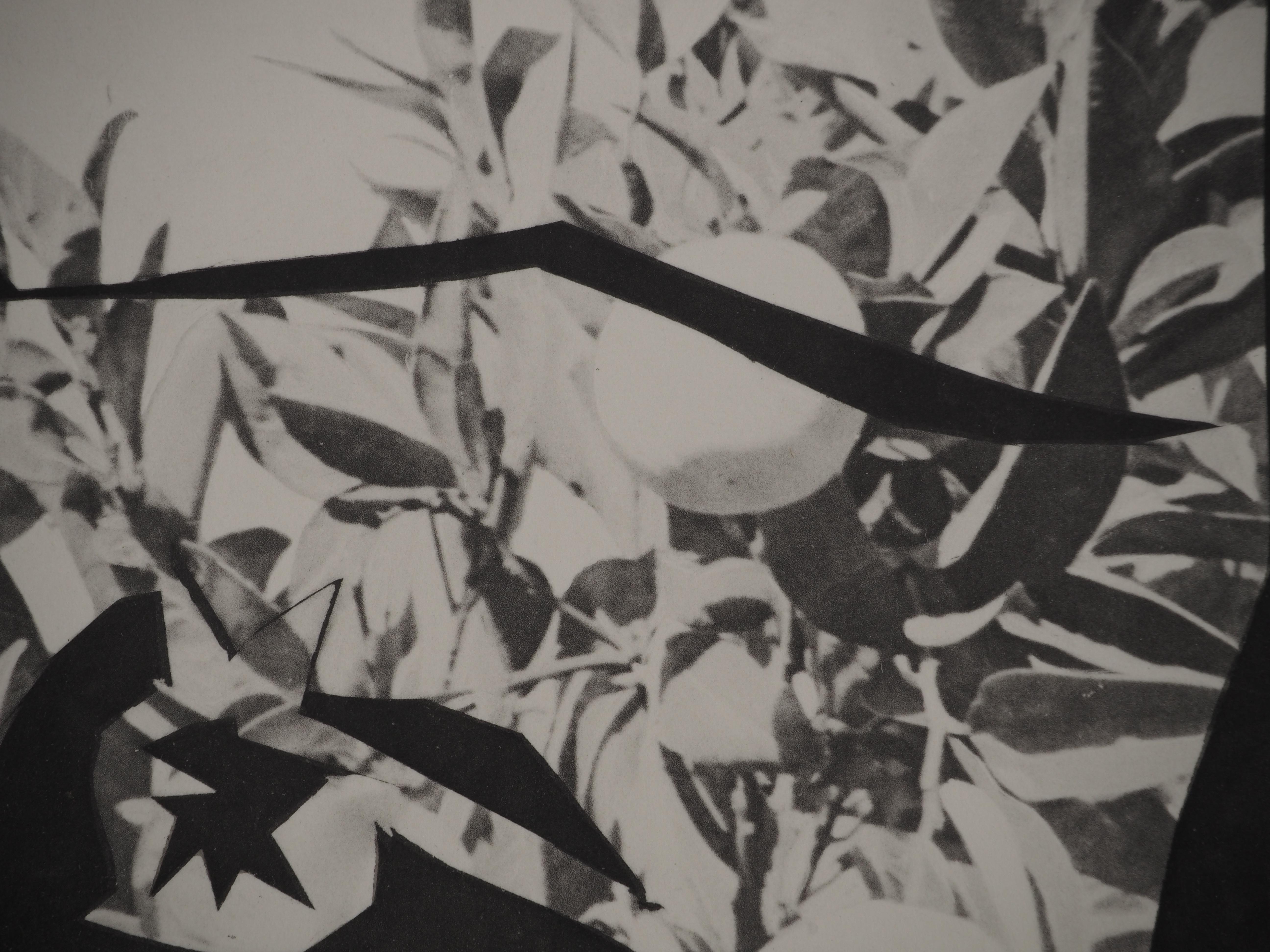 Diurnes: Donna in un albero di limoni - Collotype originale e stencil (Cramer #115) in vendita 1