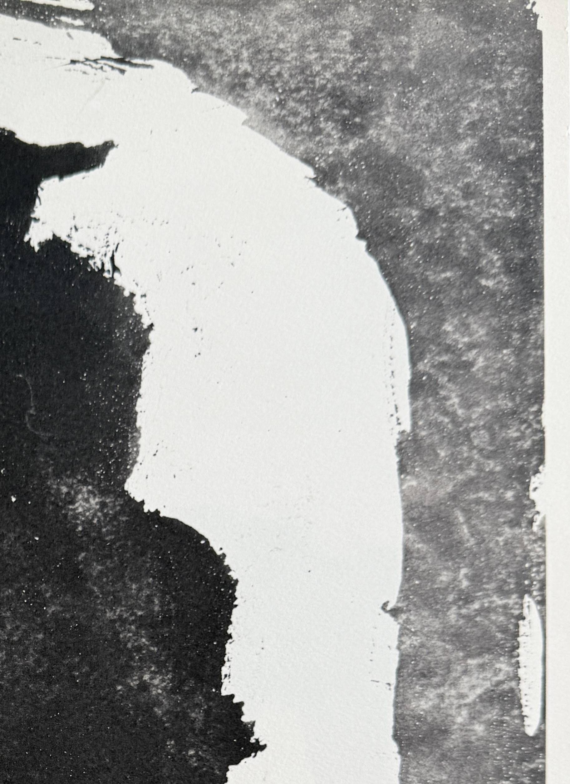 Don Quichote - Modern Print by Pablo Picasso