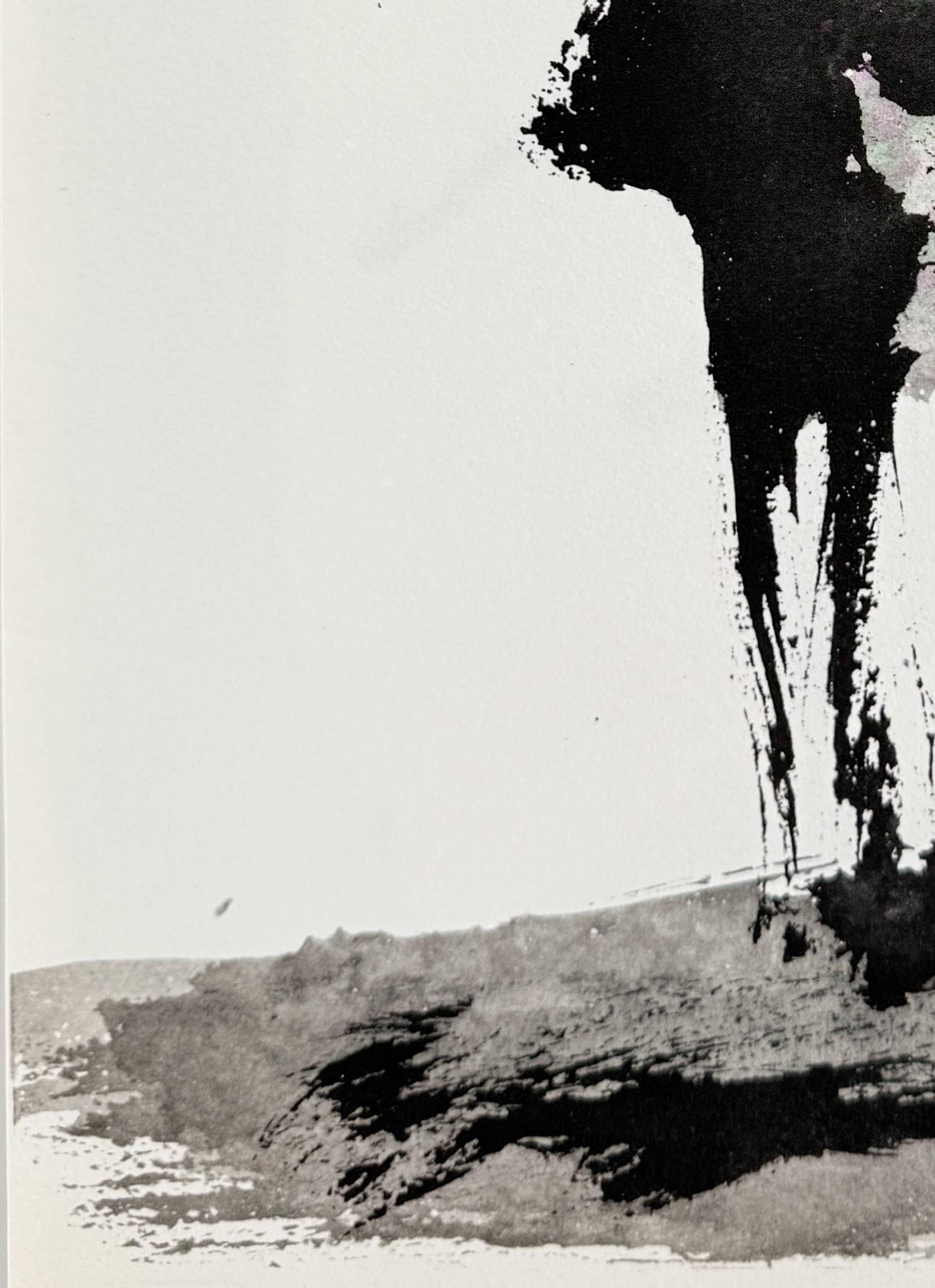 Don Quichote en vente 2