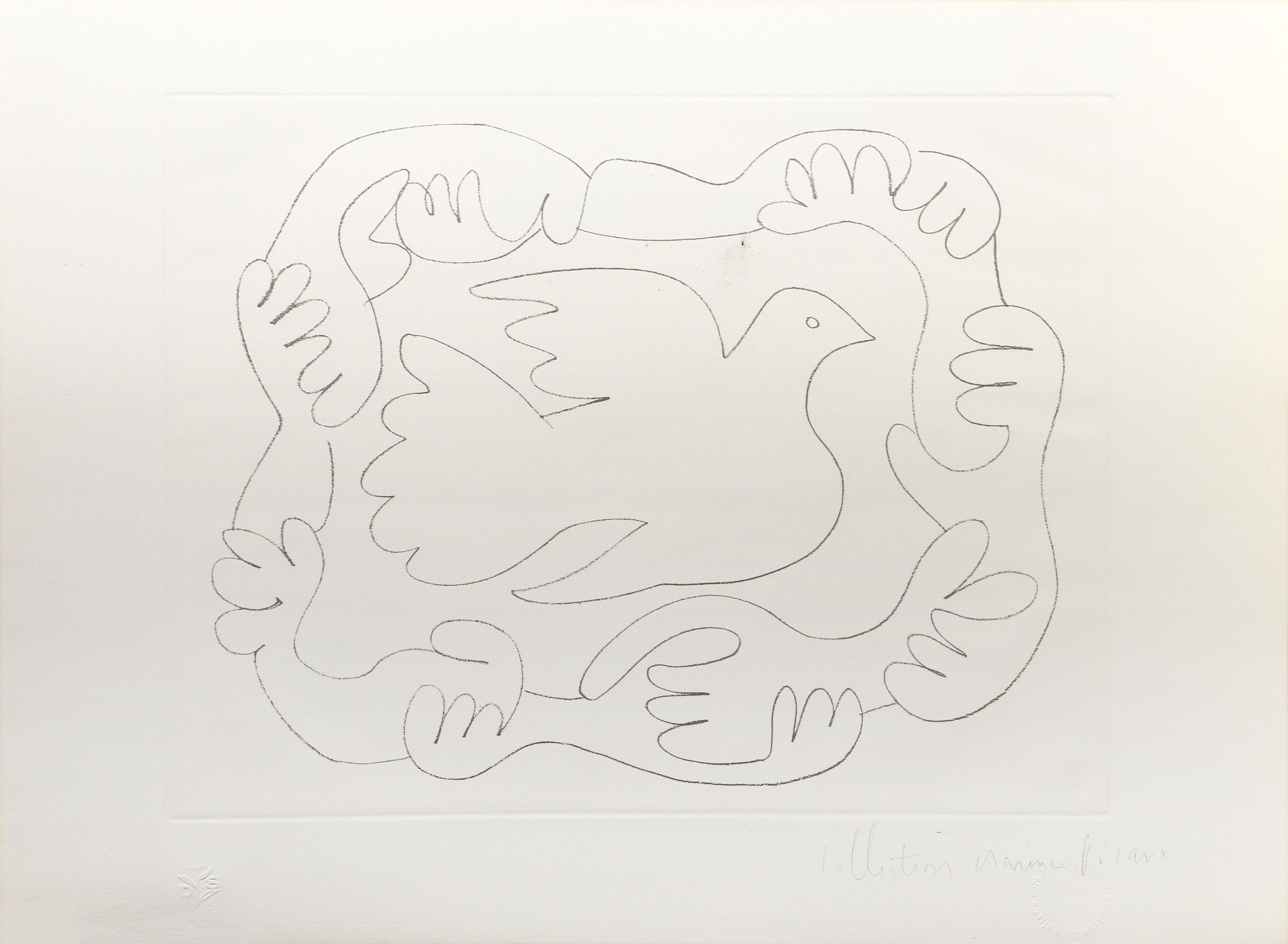 Etudes de Mains et Colombe, lithographie cubiste de Pablo Picasso